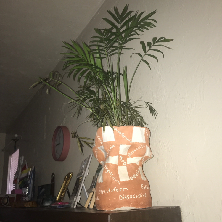 Plant care for Tradescantia on Greg, the plant care app