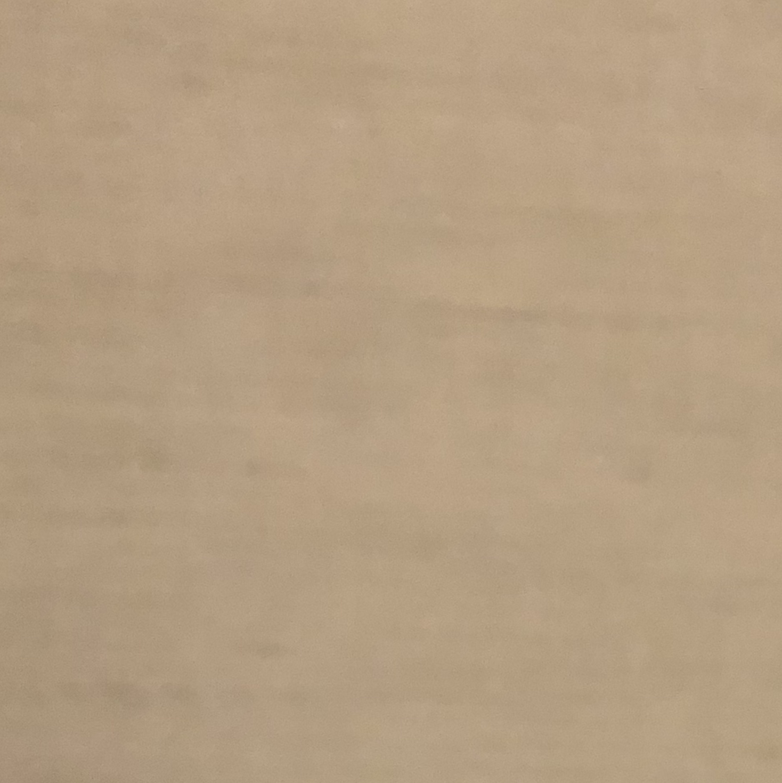 Photo of the plant species Naew Zeeland Flax by Joanne named Austen on Greg, the plant care app