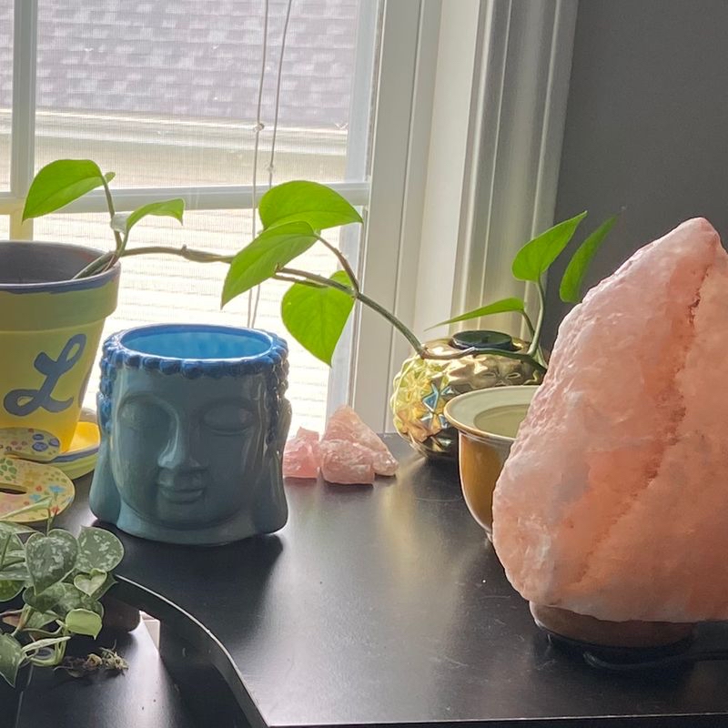 Photo of the plant species German Chamomile by Sydney named jade pothos on Greg, the plant care app