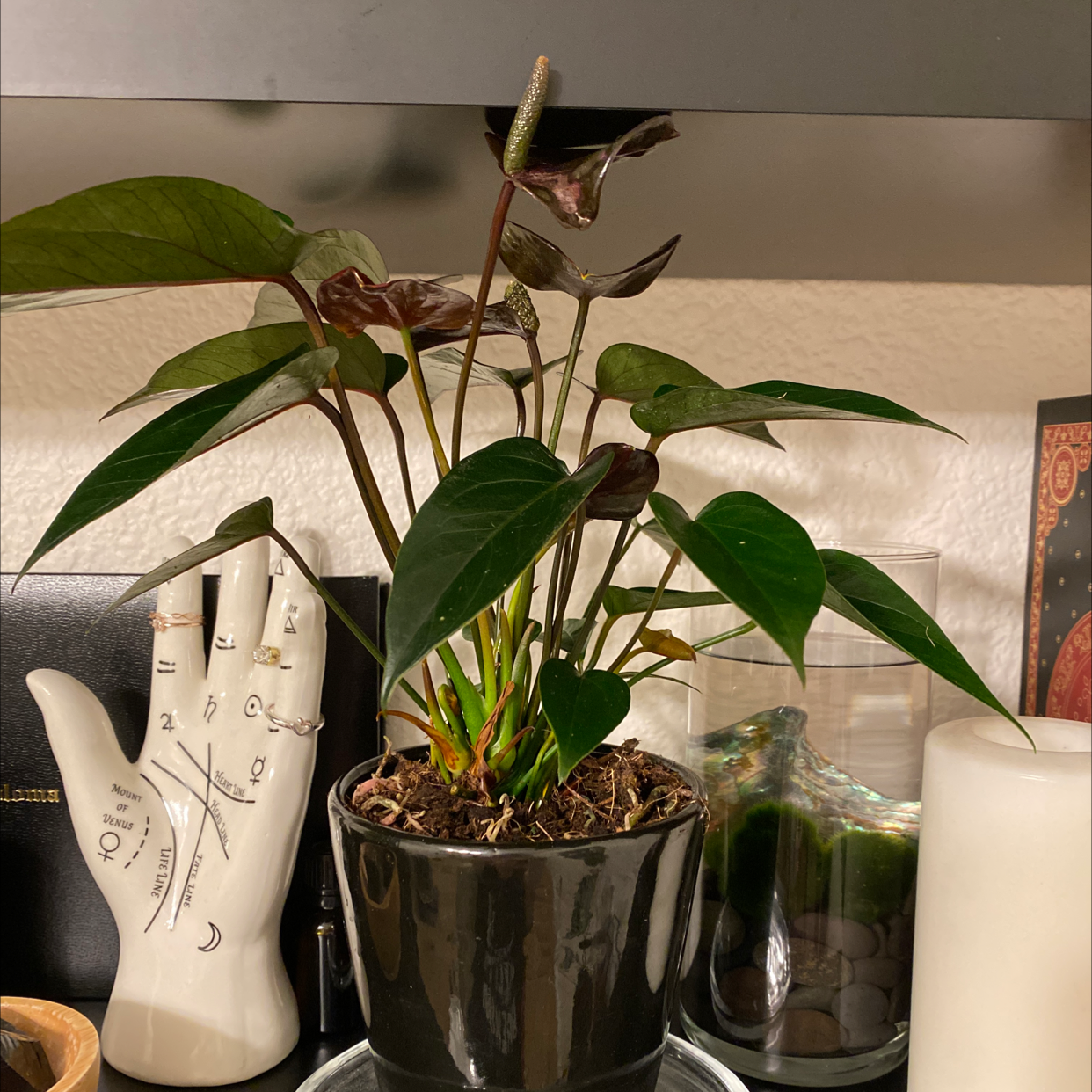 Propagating Painter's Palette 🎨 The Ultimate Guide