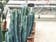 Calculate water needs of Crested Blue Candle Cactus