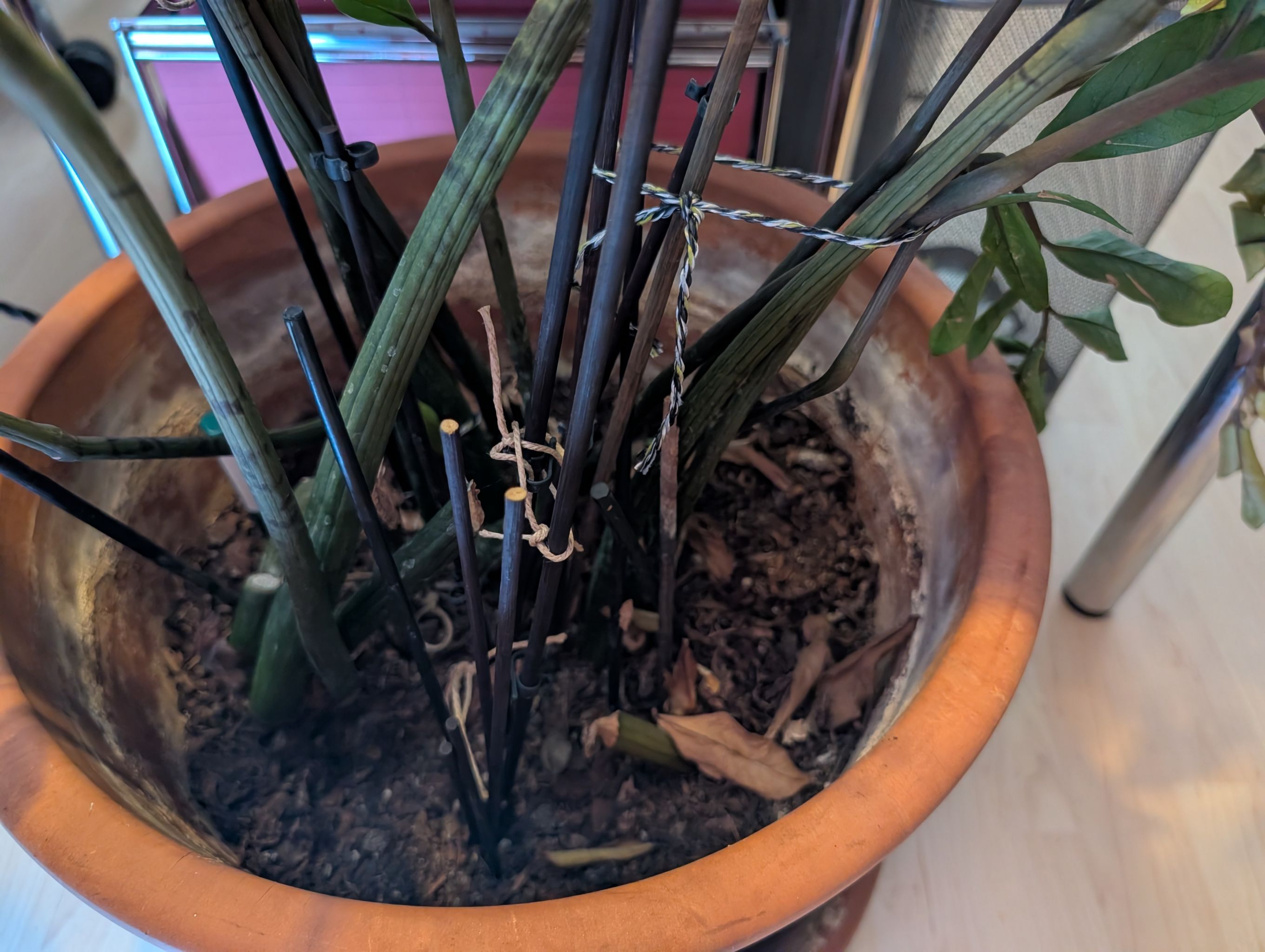 Photo from the post