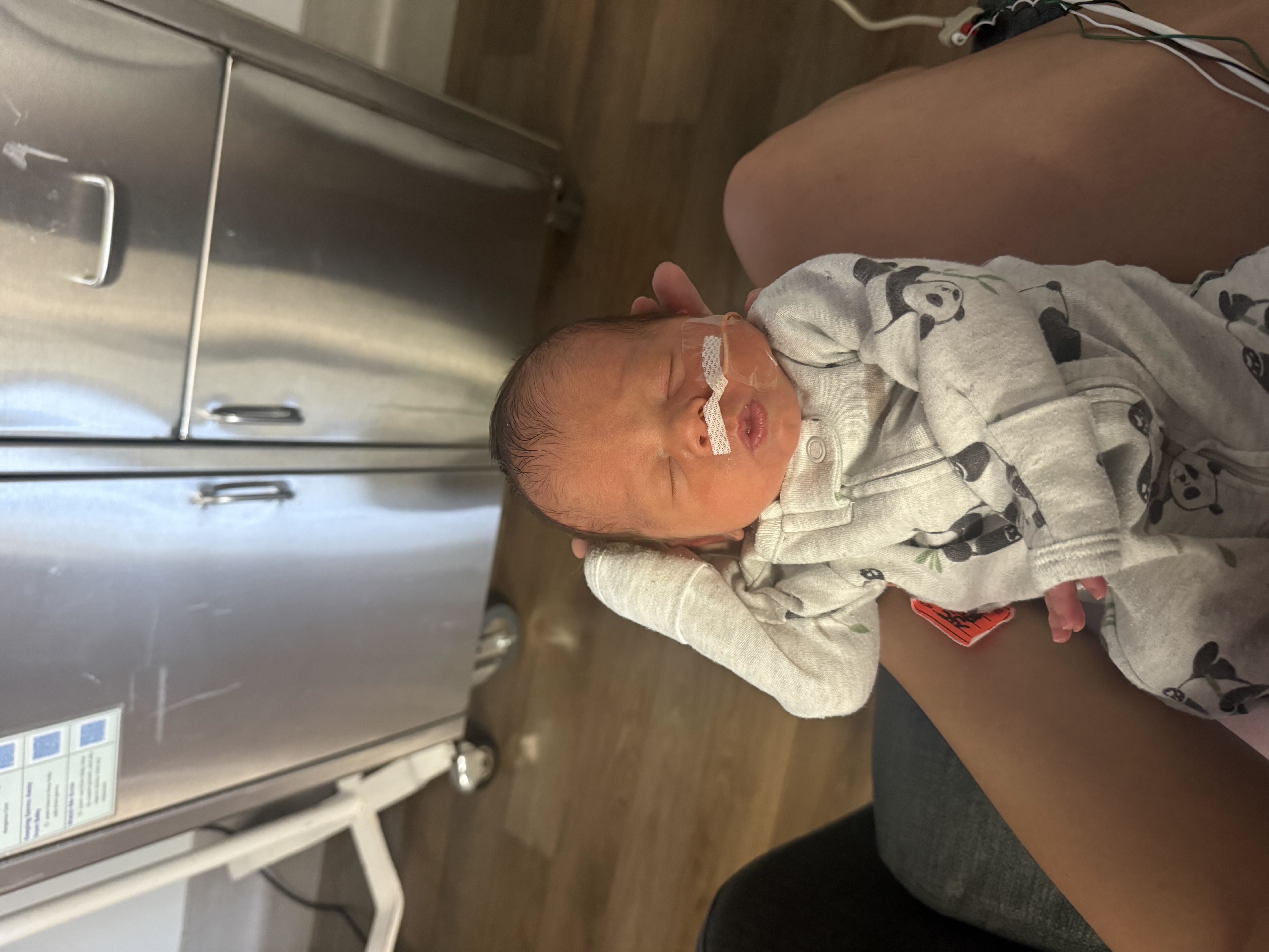 Photo from the post