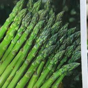 Photo of the plant species Proso Millet by @MerryHenbane79 named Delilah on Greg, the plant care app