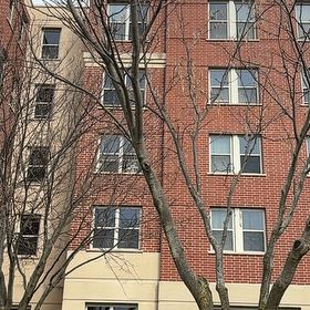 Photo of the plant species Common Filbert by @AbleAposeris70 named Nithin on Greg, the plant care app