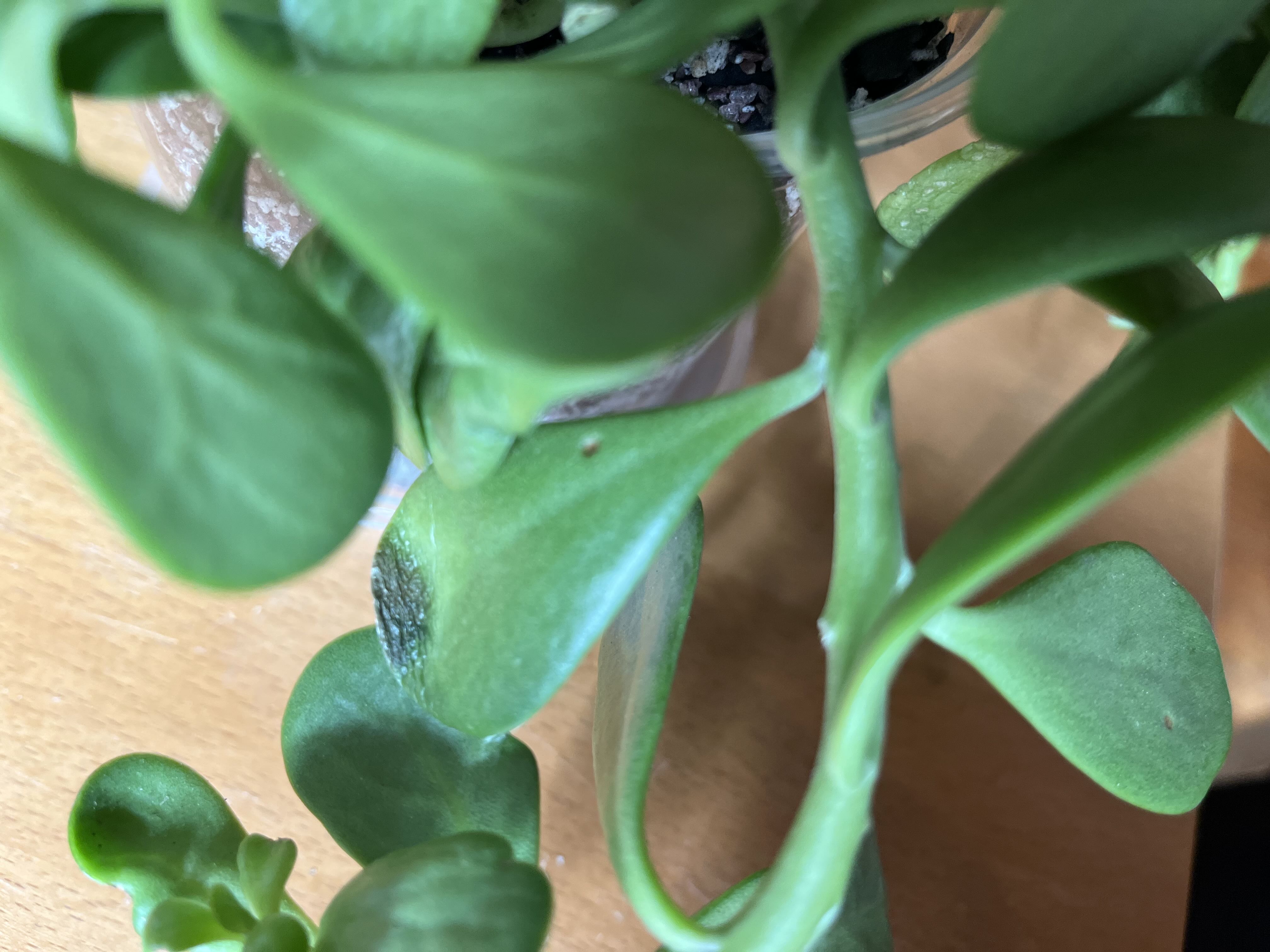 Photo from the post