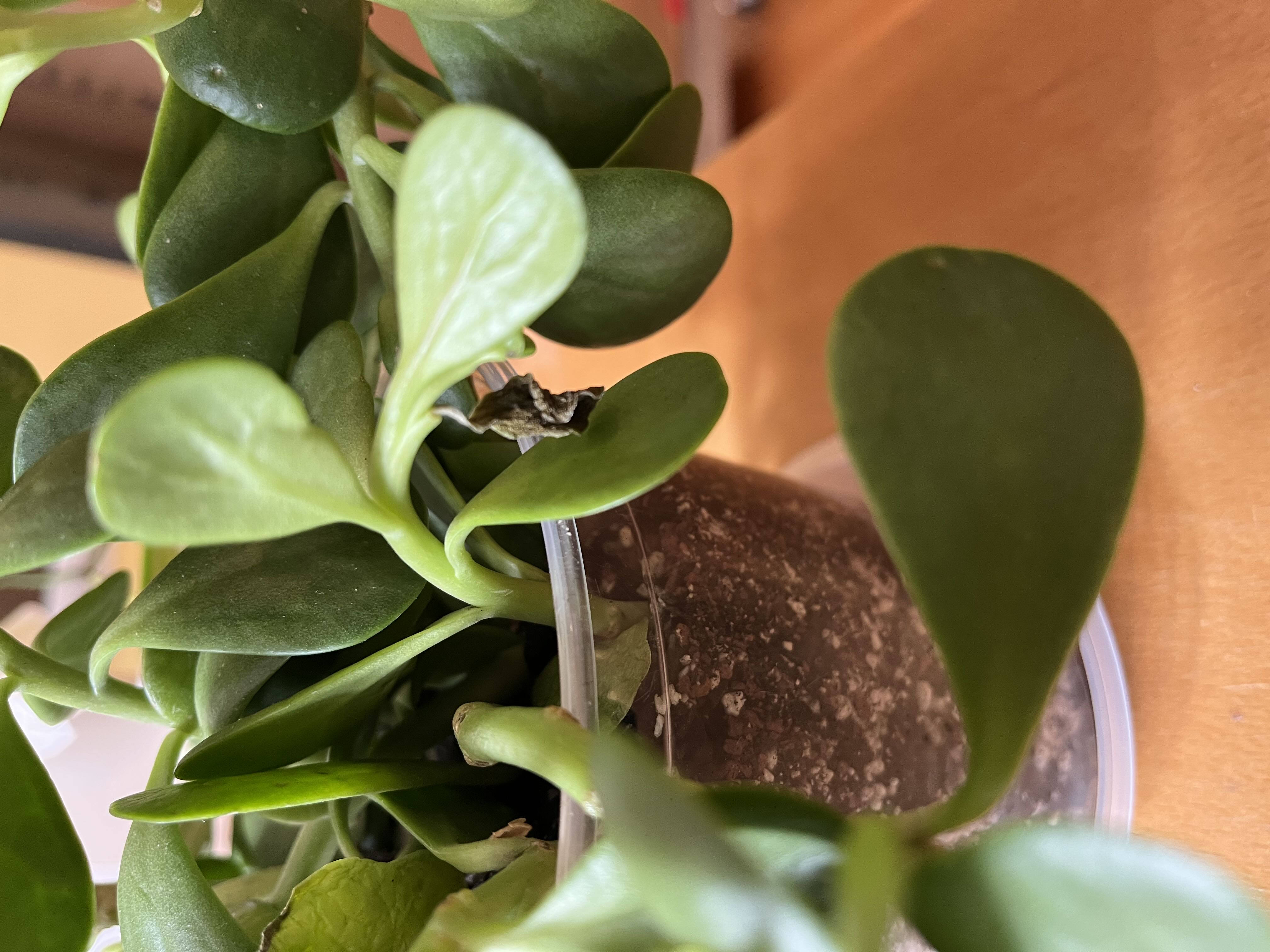Photo from the post