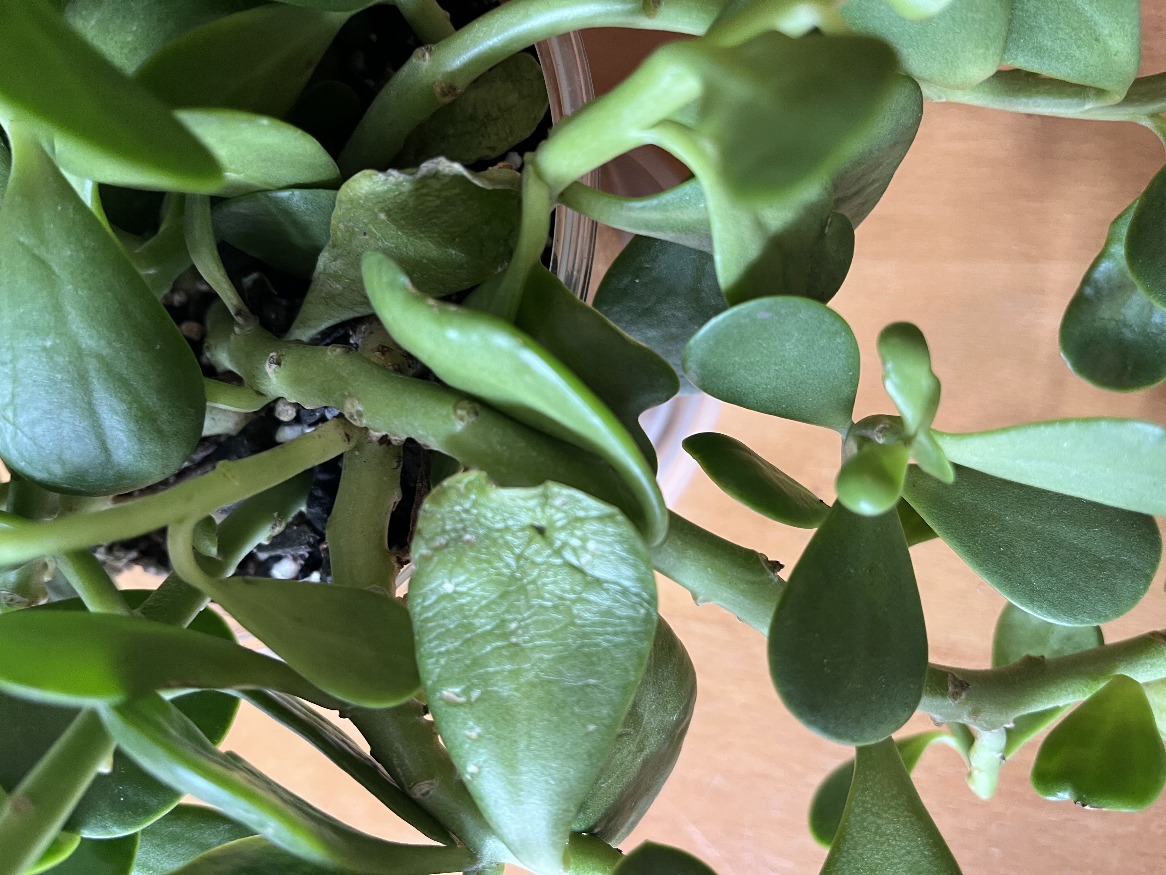 Photo from the post