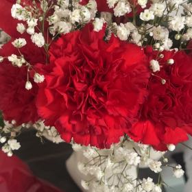 Photo of the plant species Papaver Somniferum by @CasualApple21 named Navajo on Greg, the plant care app