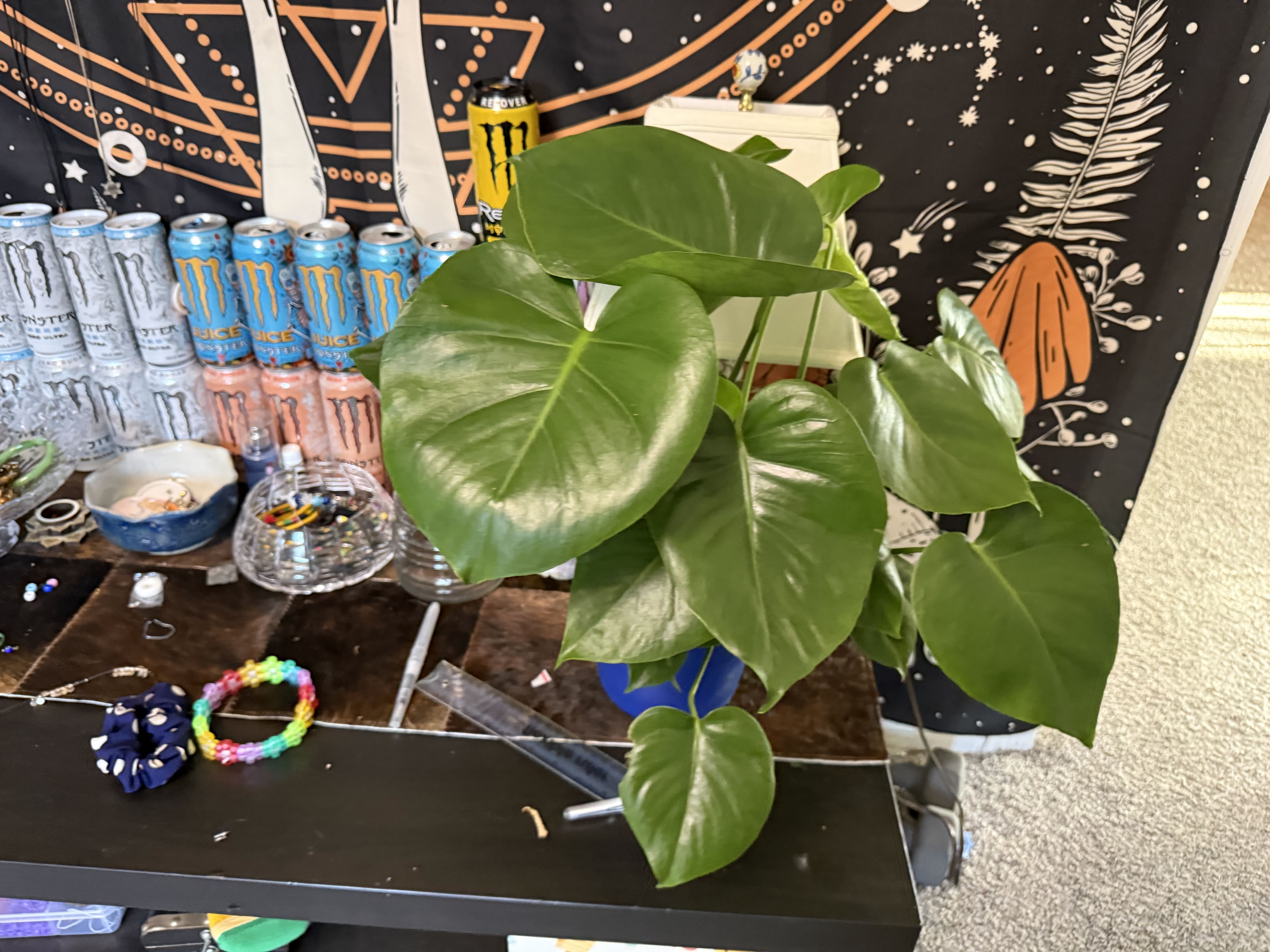 Photo from the post