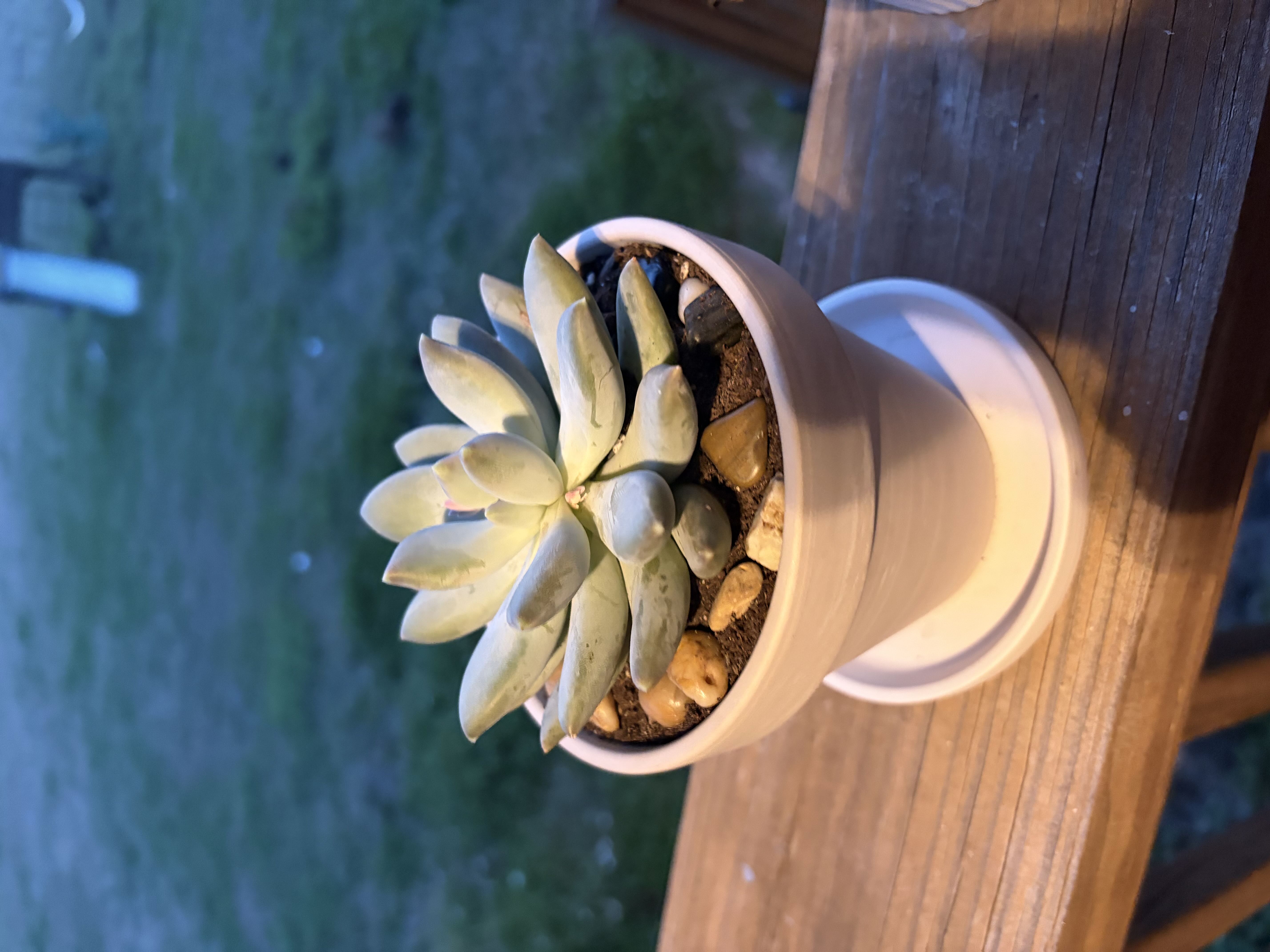 Photo from the post