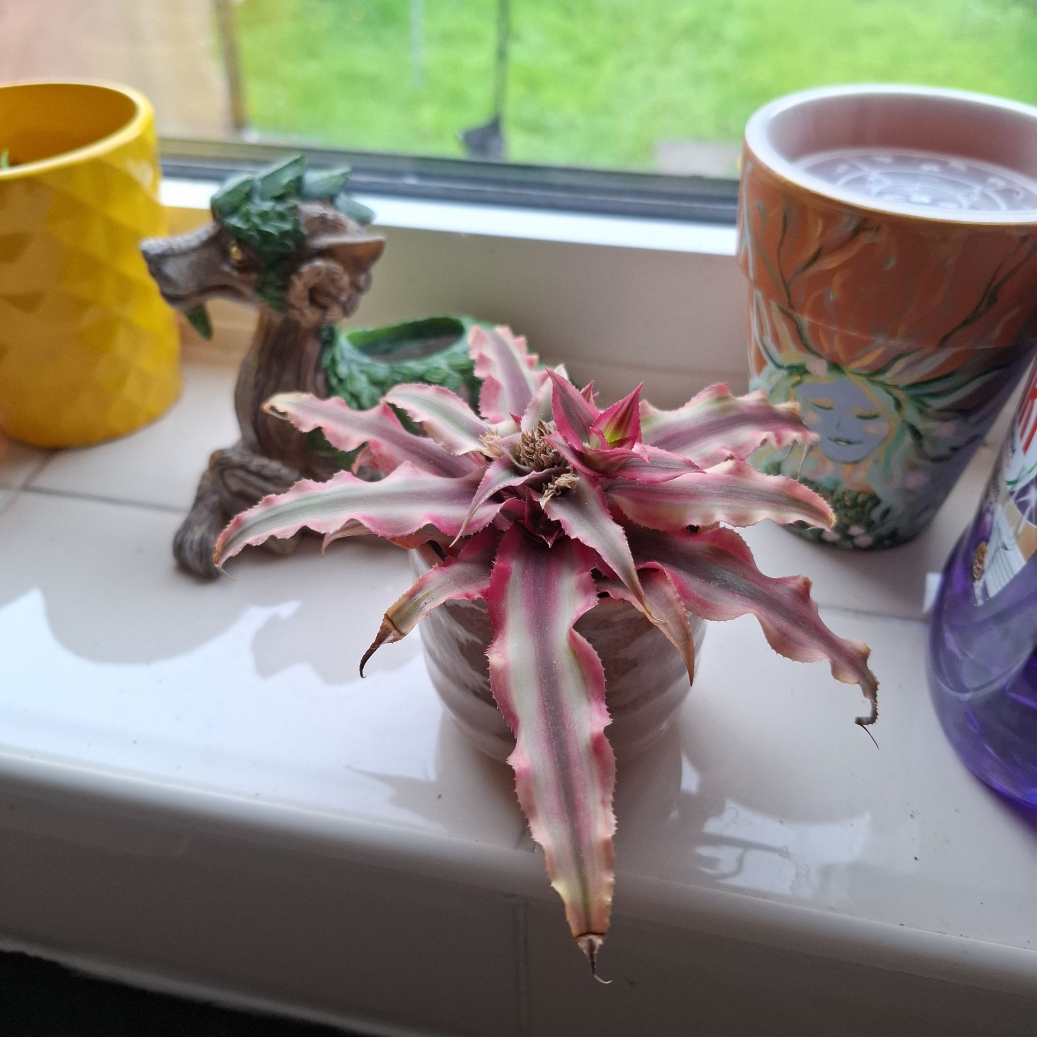 Pineapple Star