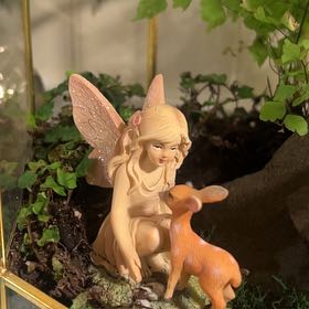 Photo of the plant species Mini Oakleaf Creeping Fig by @ProQuenepa62 named Rainier on Greg, the plant care app