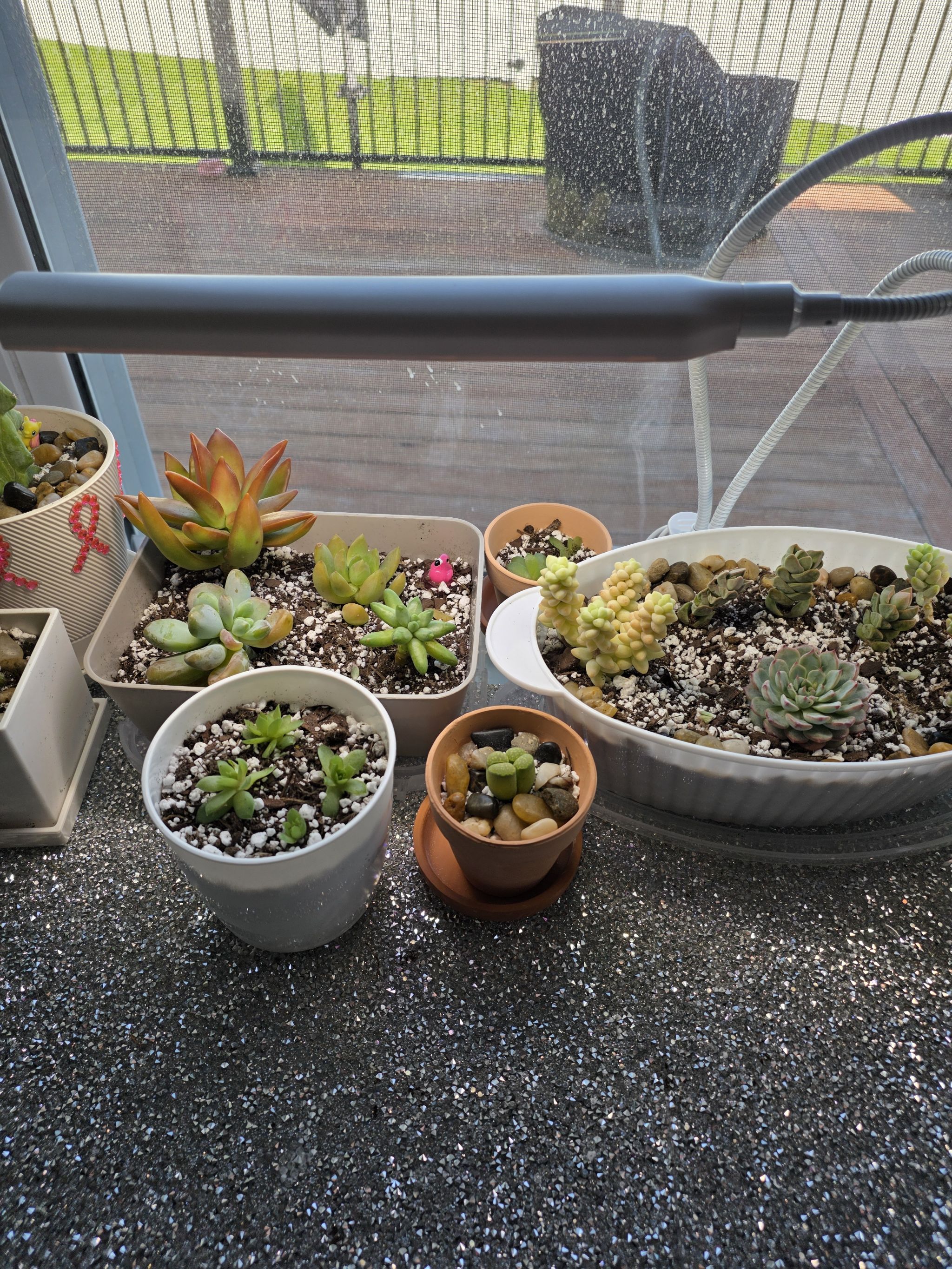 Photo from the post