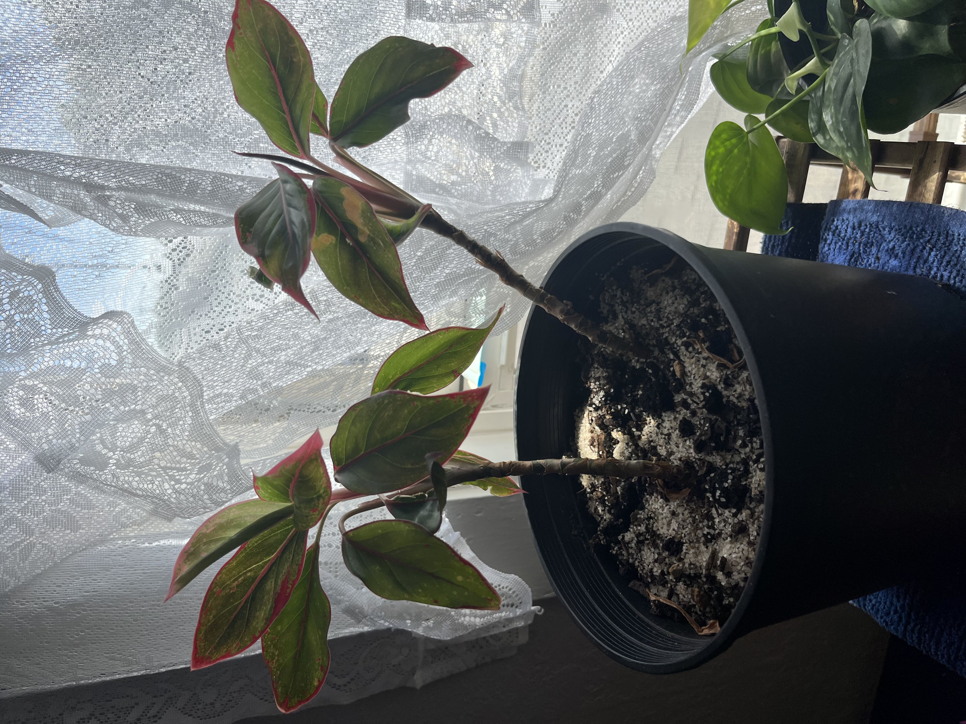 Photo from the post