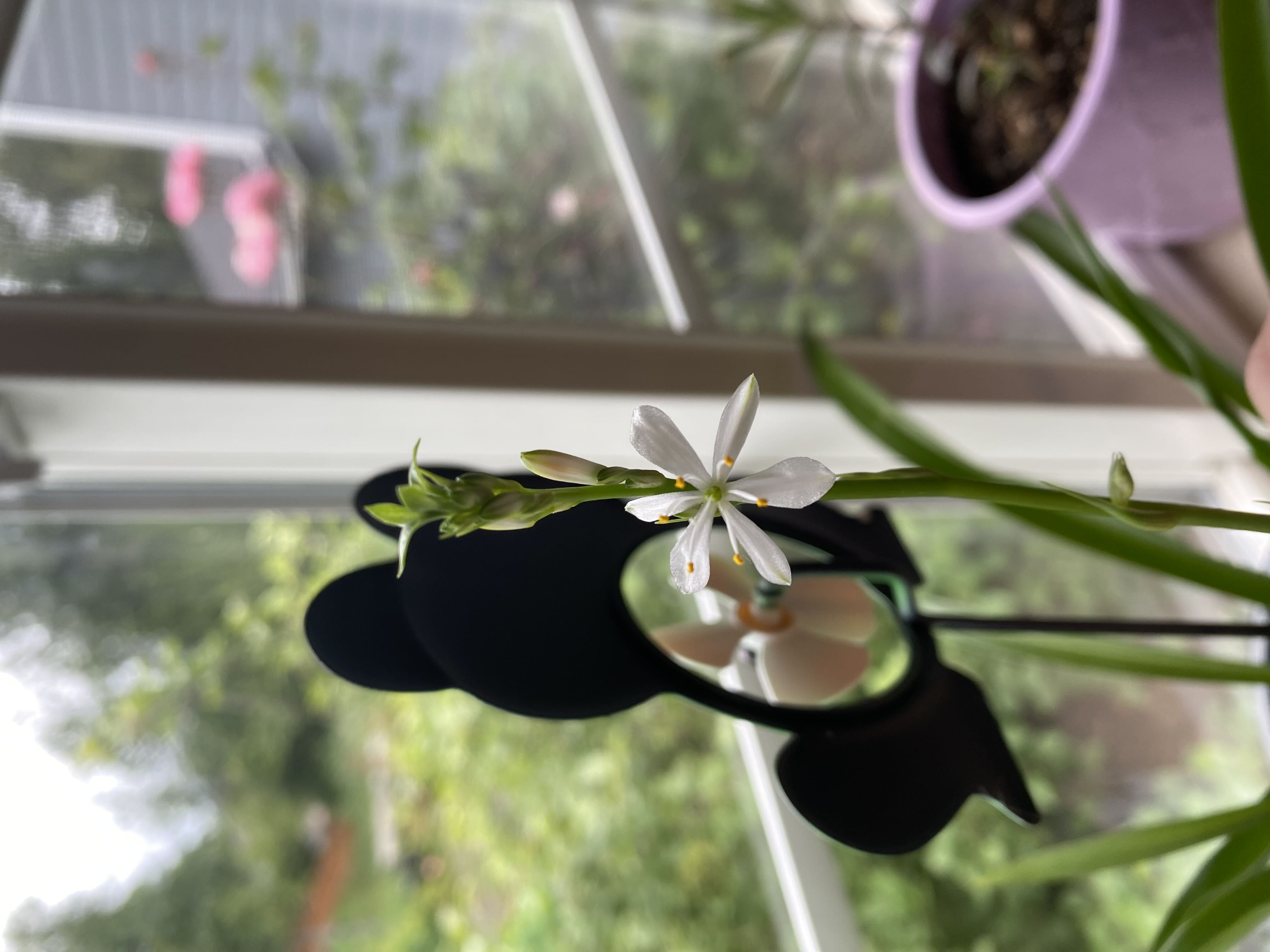 Photo from the post