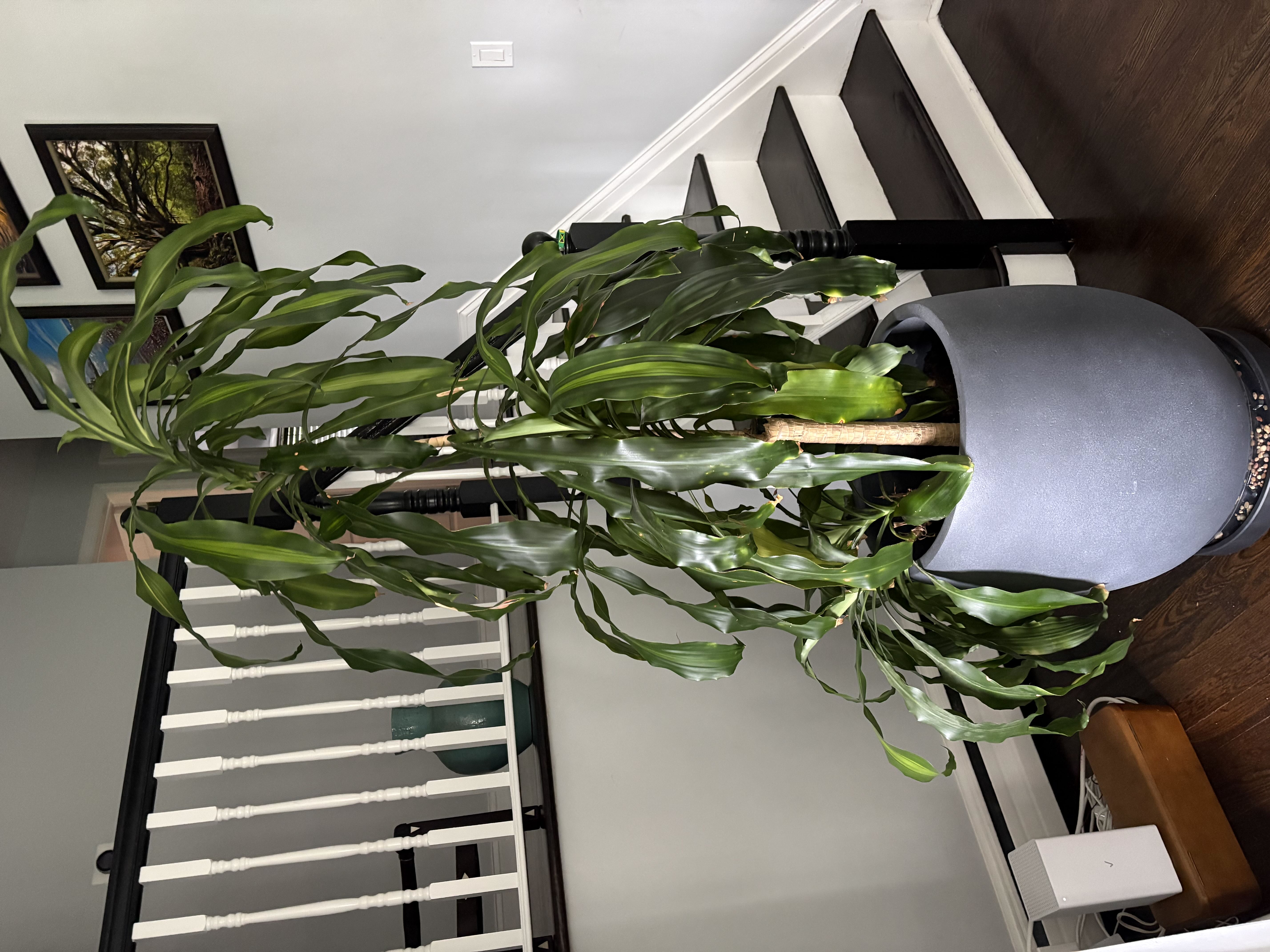 Photo from the post