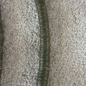 Photo of the plant species PLUMERIA by @TutorViszsla34 named Lebron on Greg, the plant care app