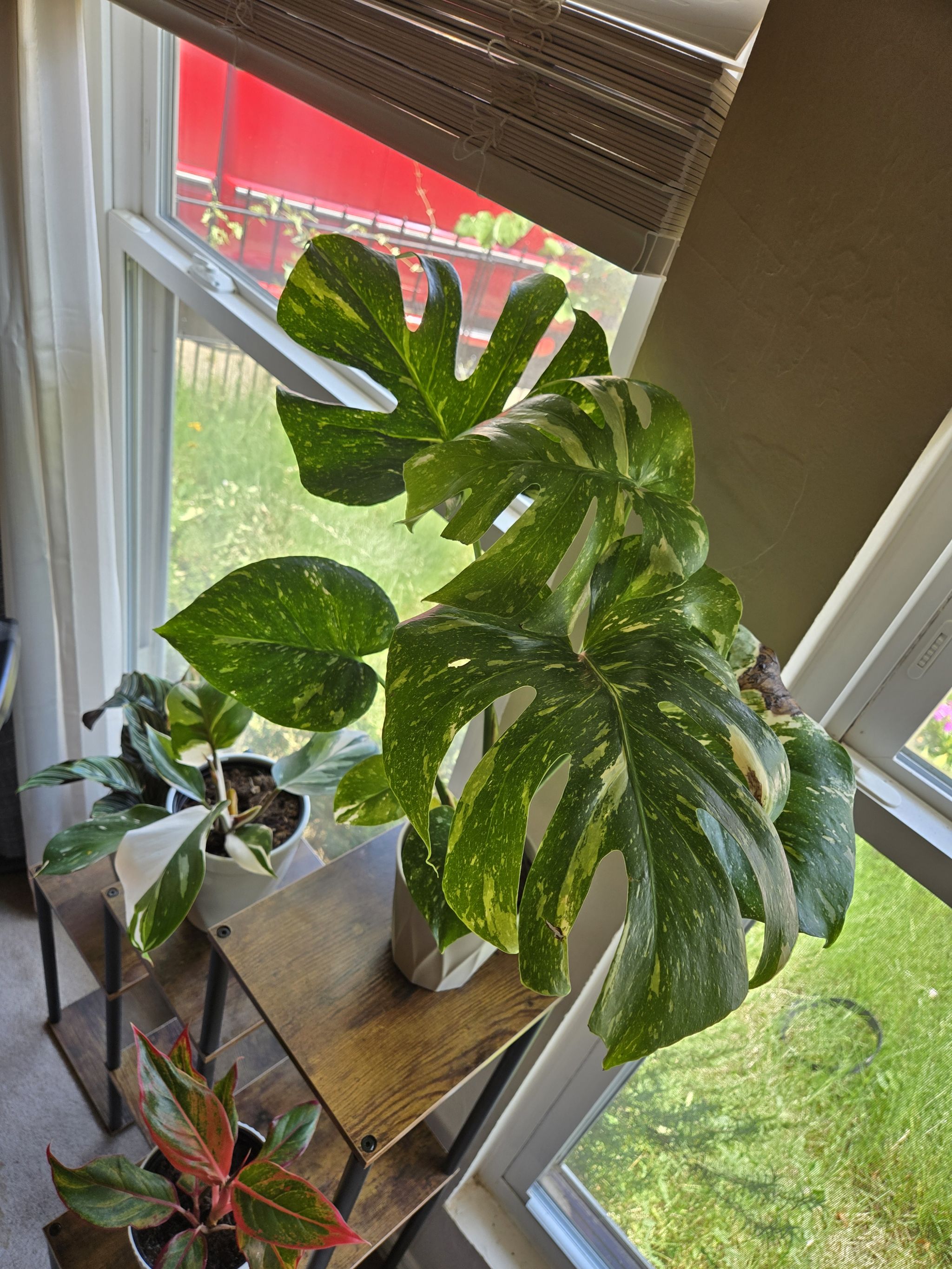 Photo from the post