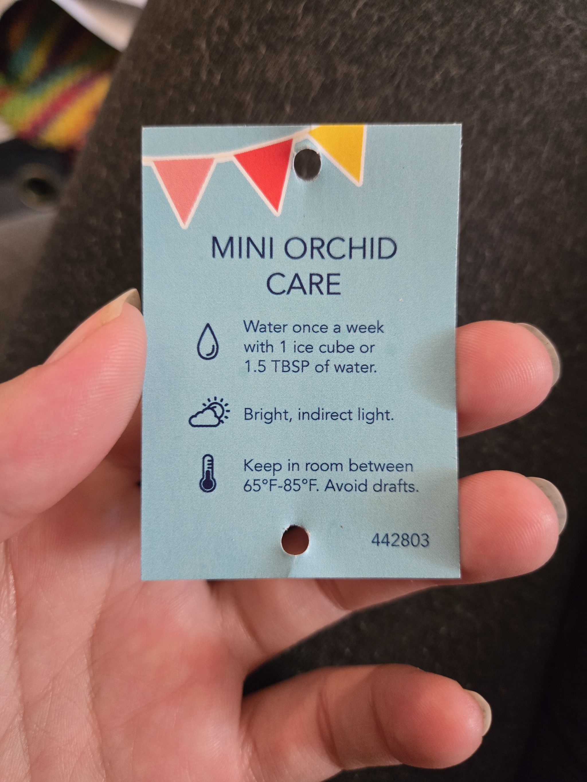 Photo from the post