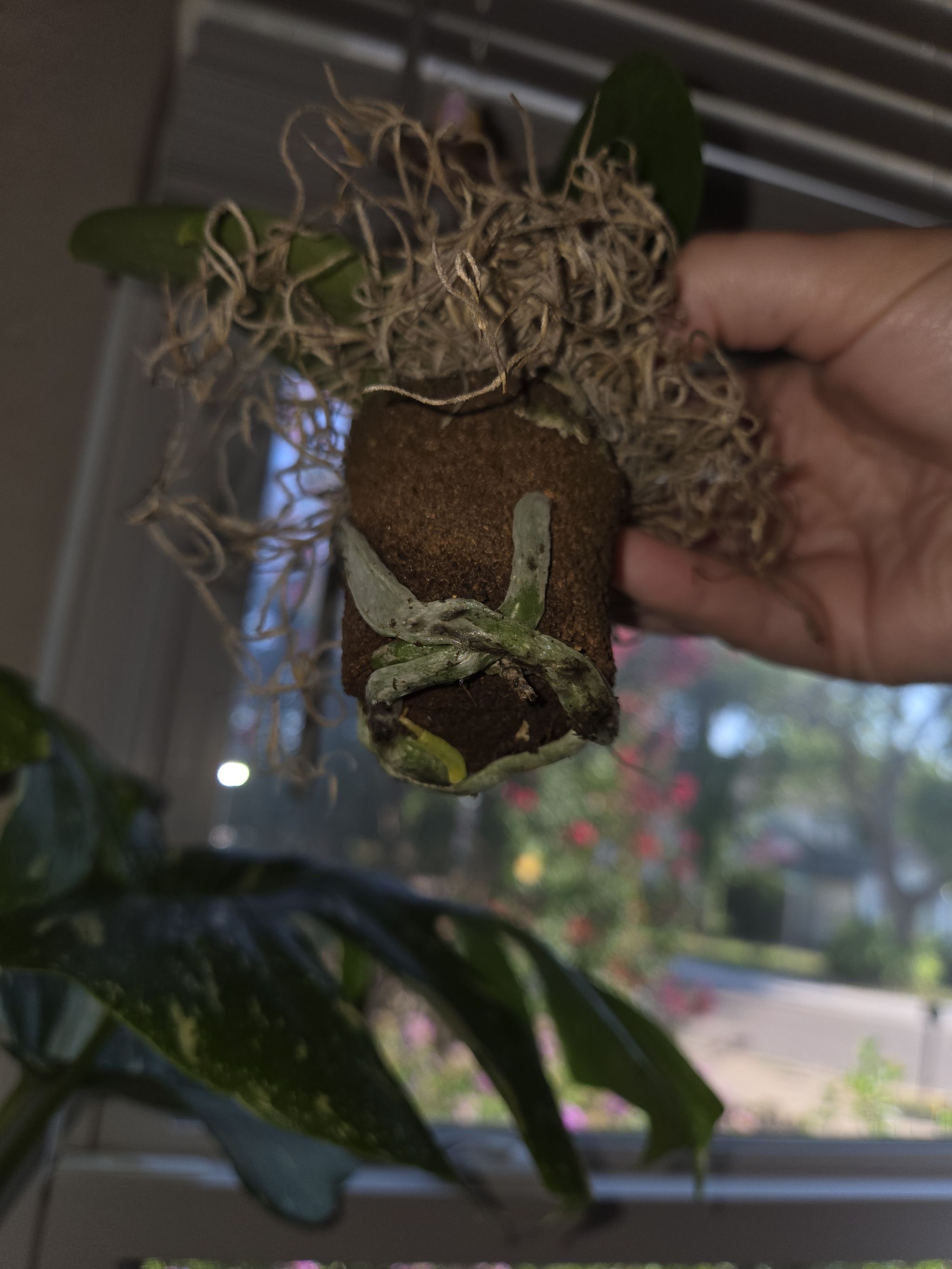Photo from the post