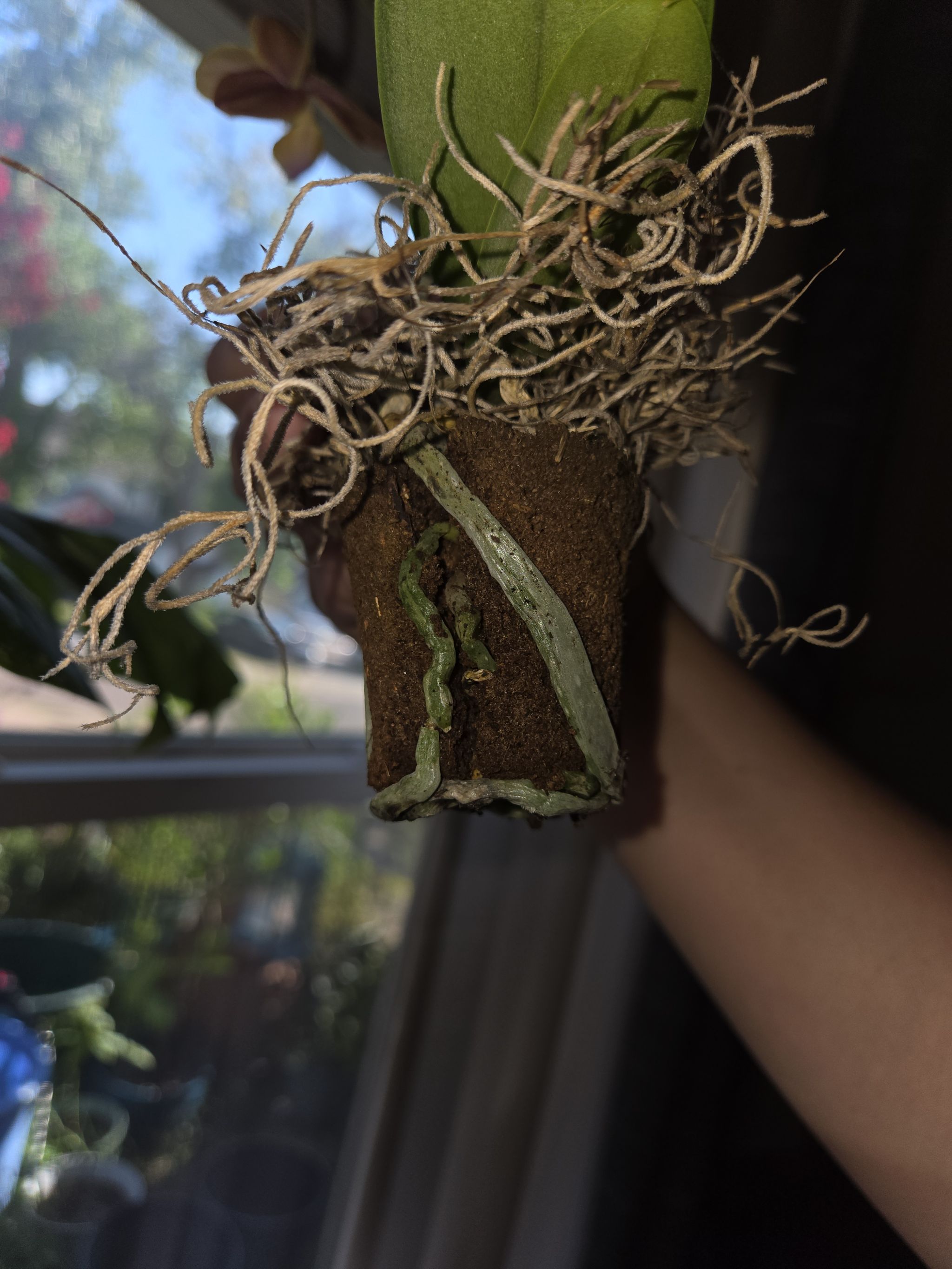 Photo from the post