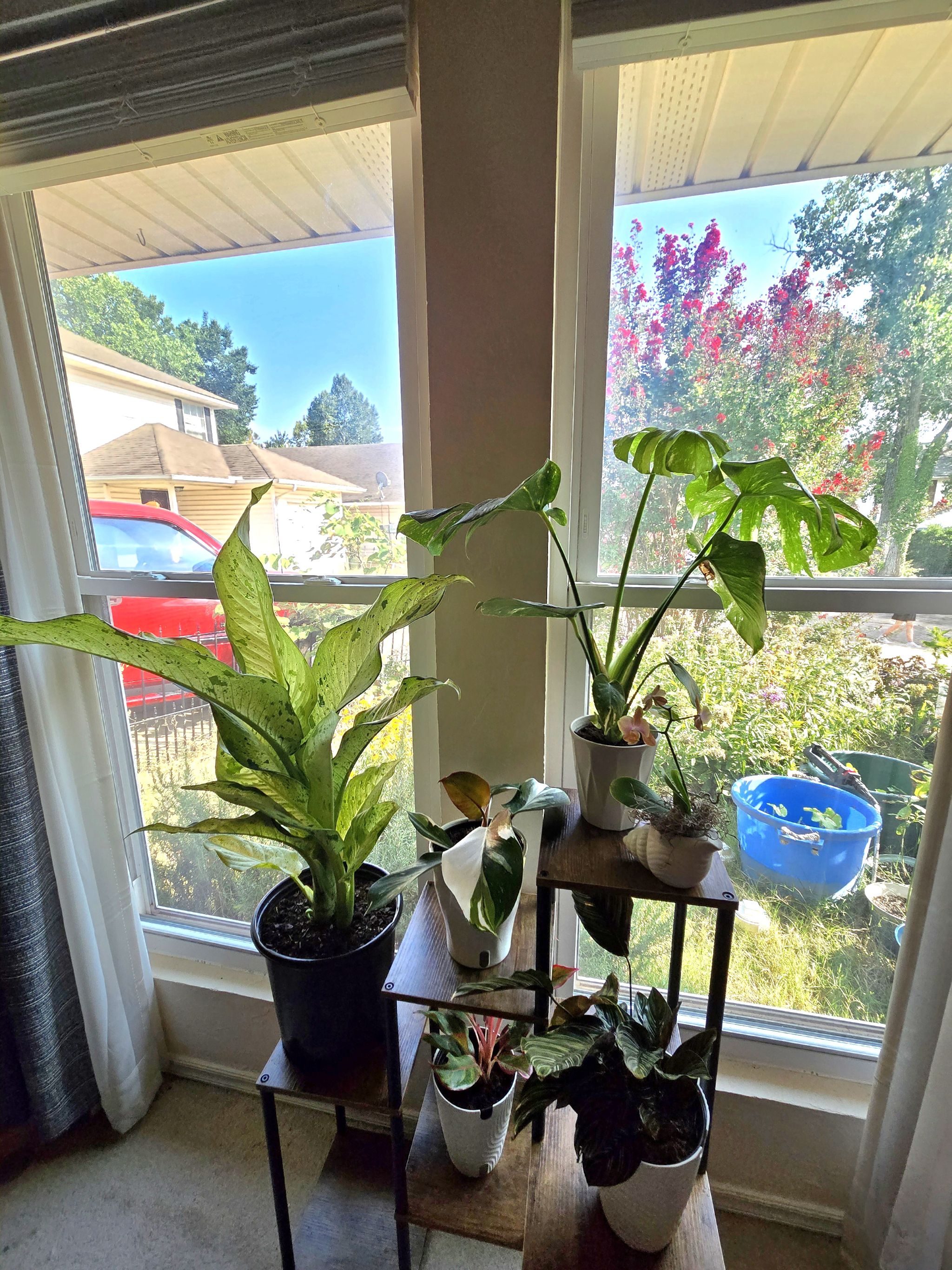 Photo from the post