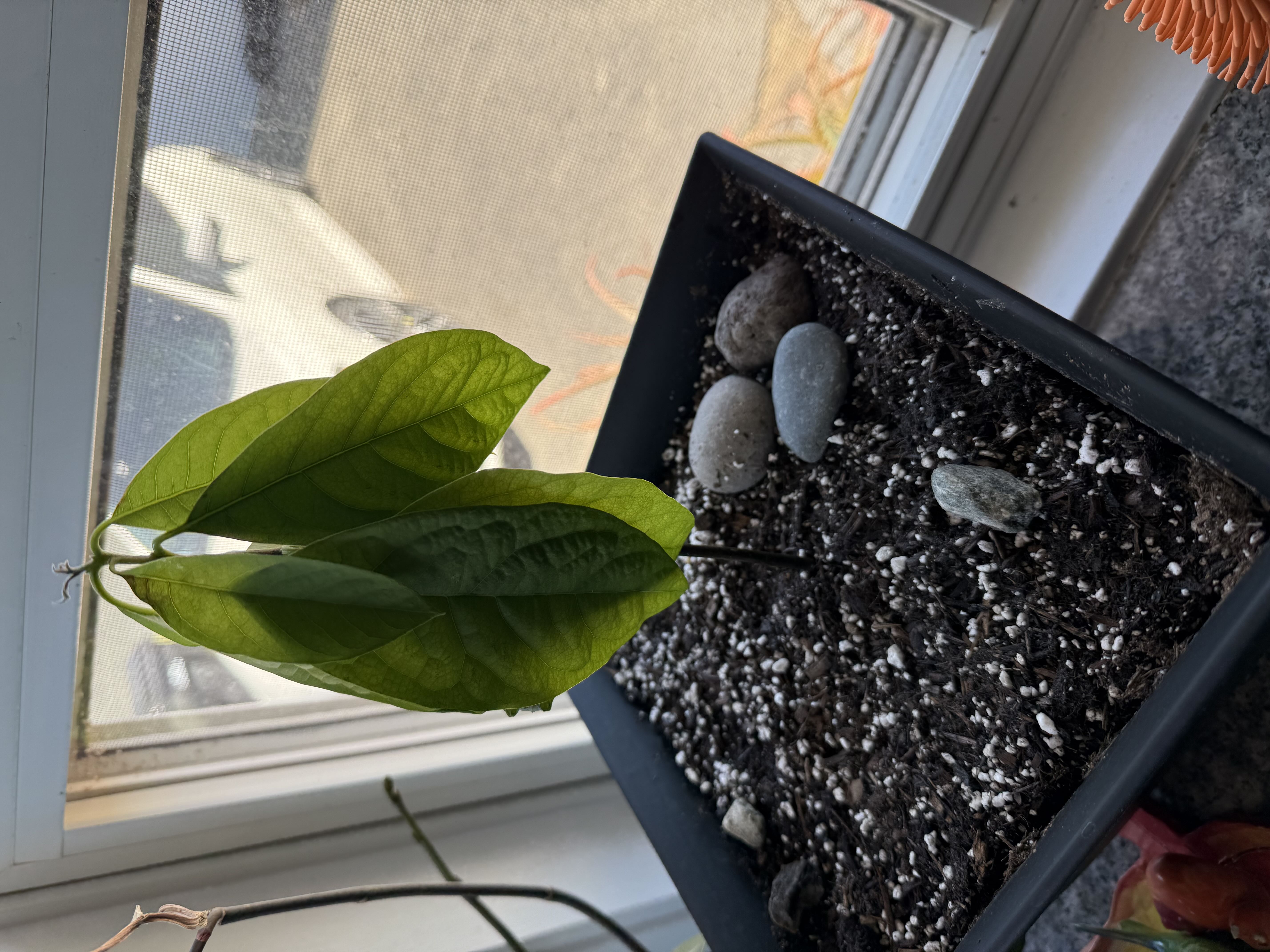 Photo from the post