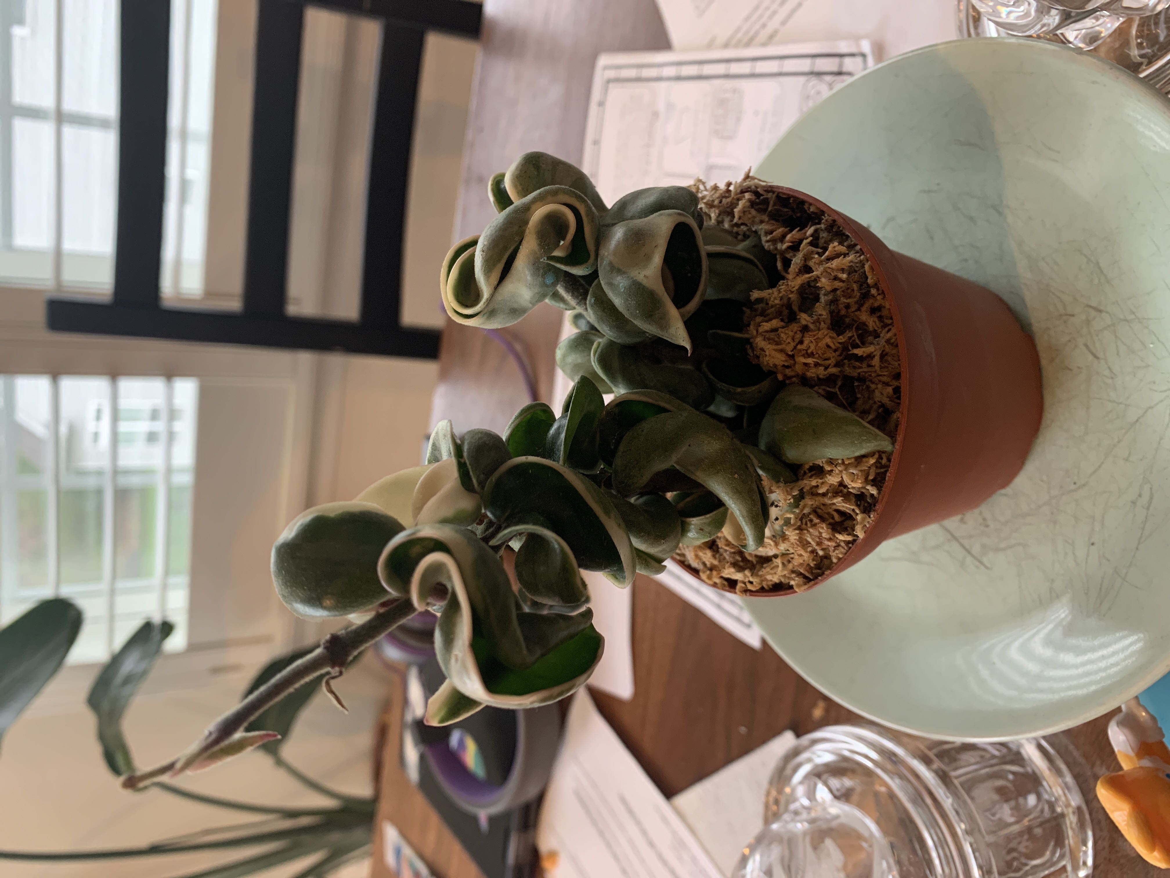 Photo from the post