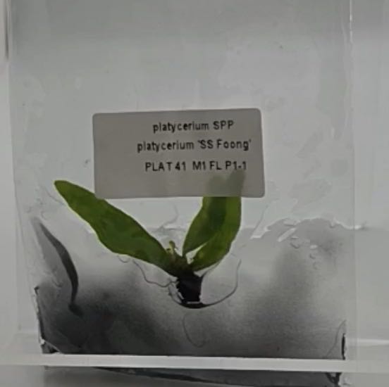 Photo from the post