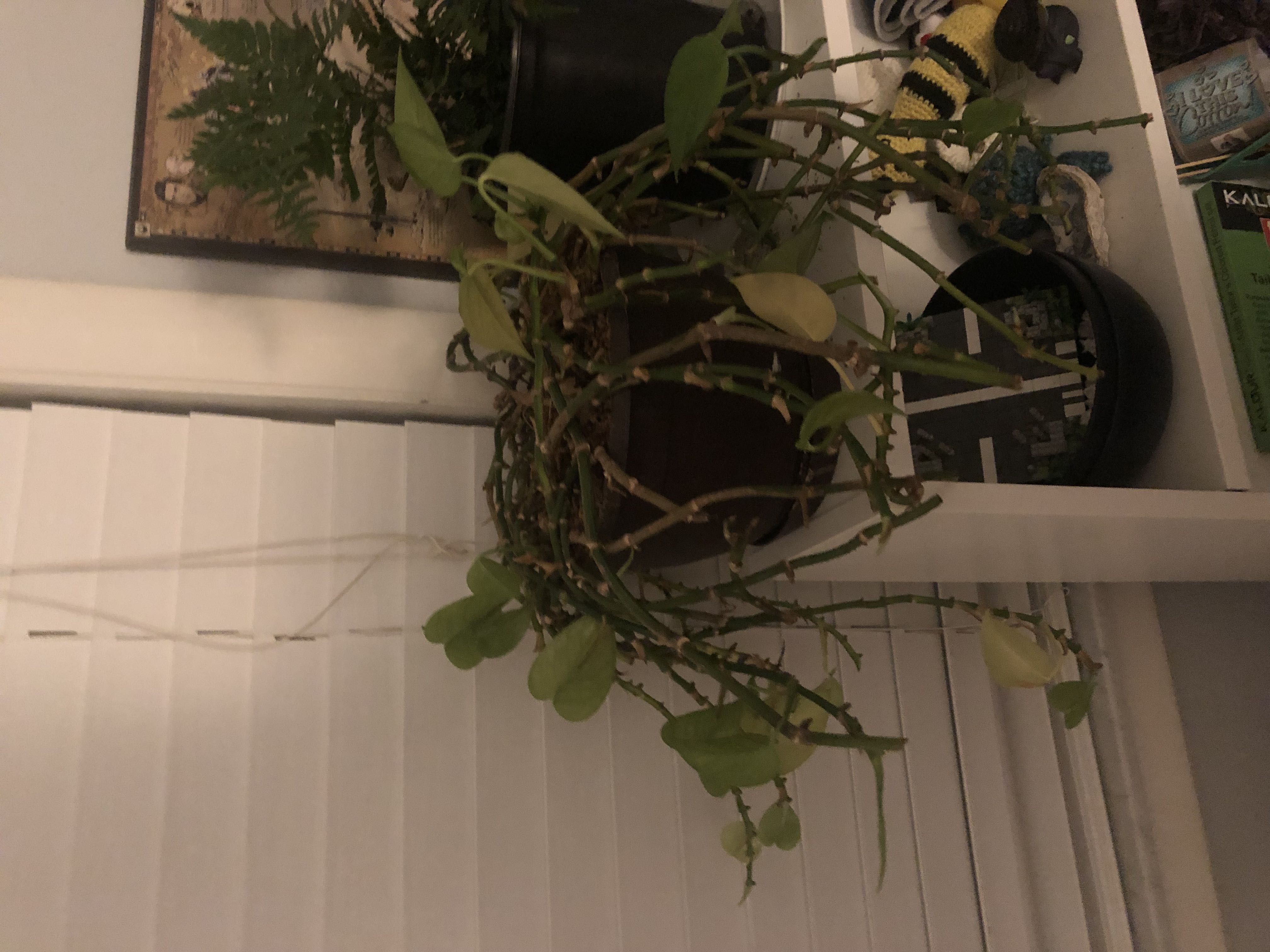 Photo from the post