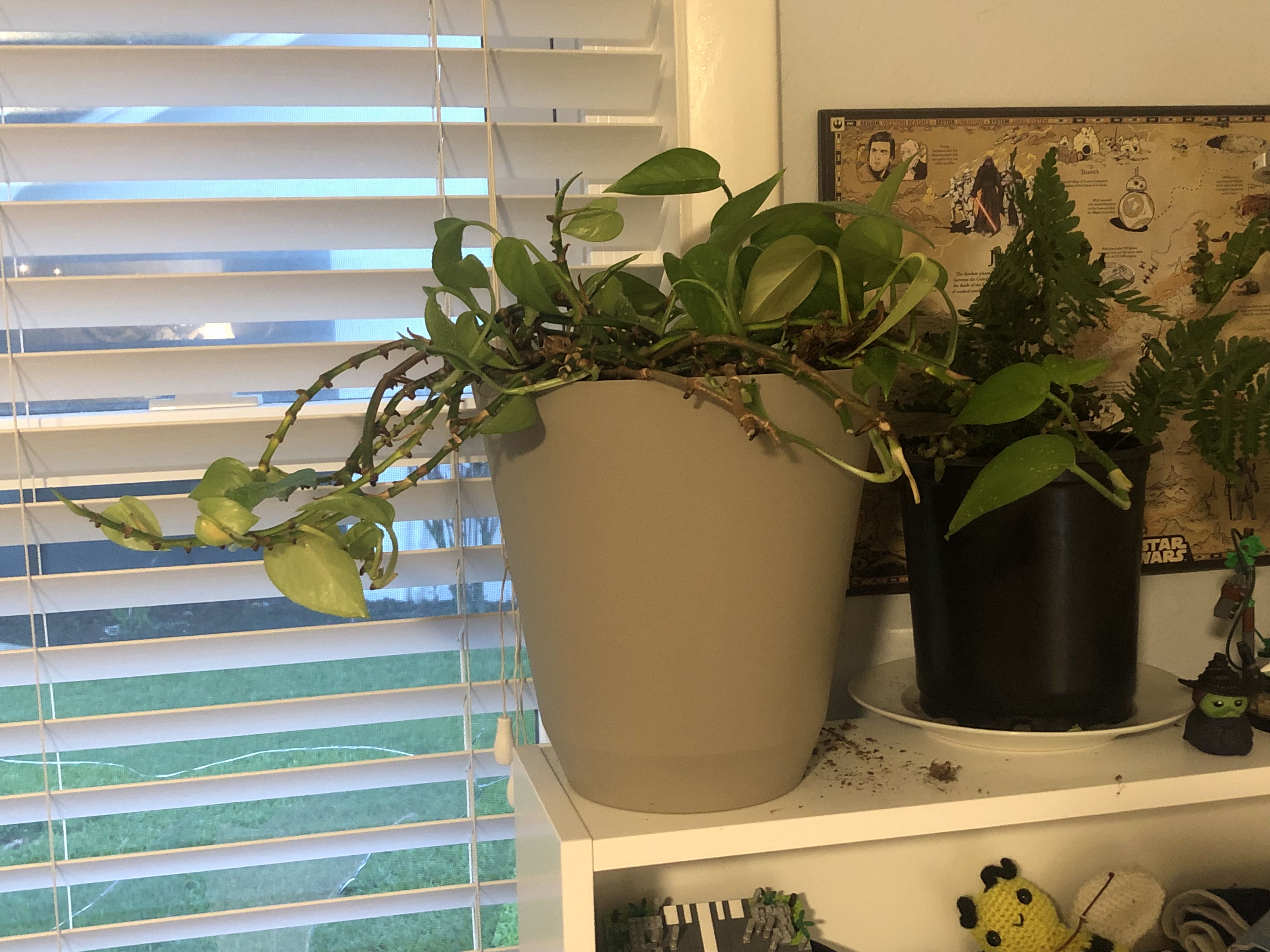 Photo from the post