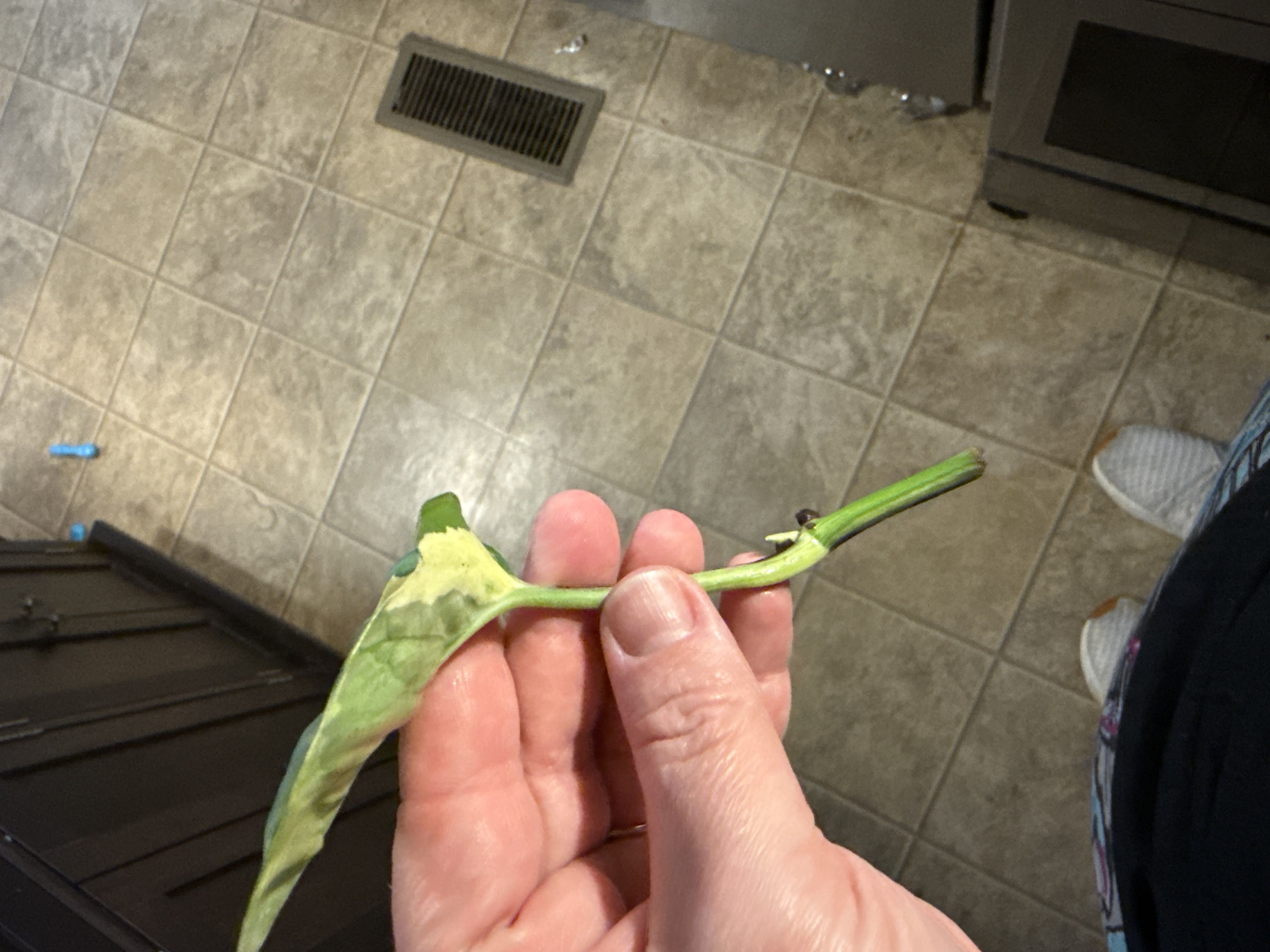 Photo from the post