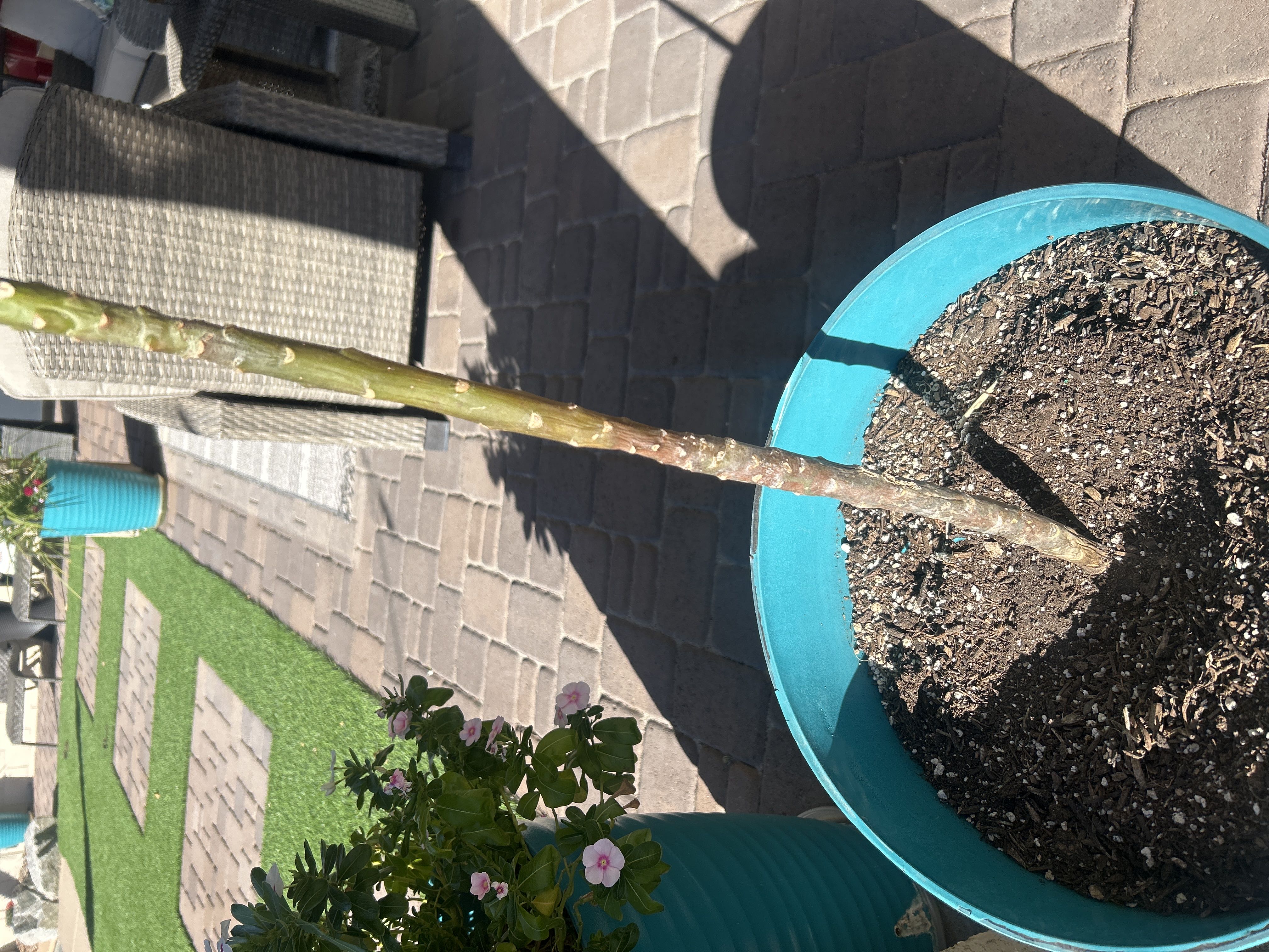 Photo from the post