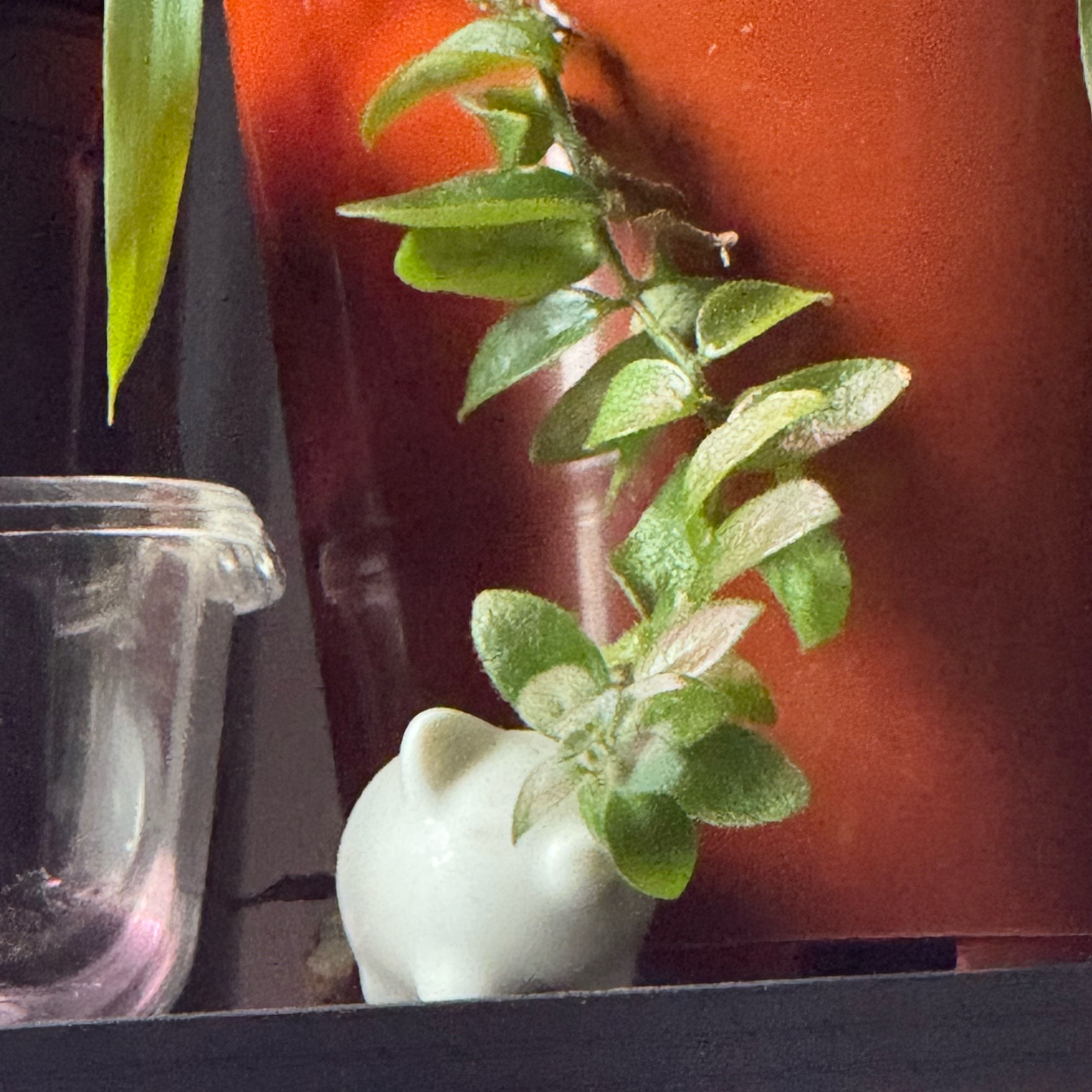 Photo of the plant species Curly Lipstick Plant by @TryDaisybush64 named Oscar on Greg, the plant care app