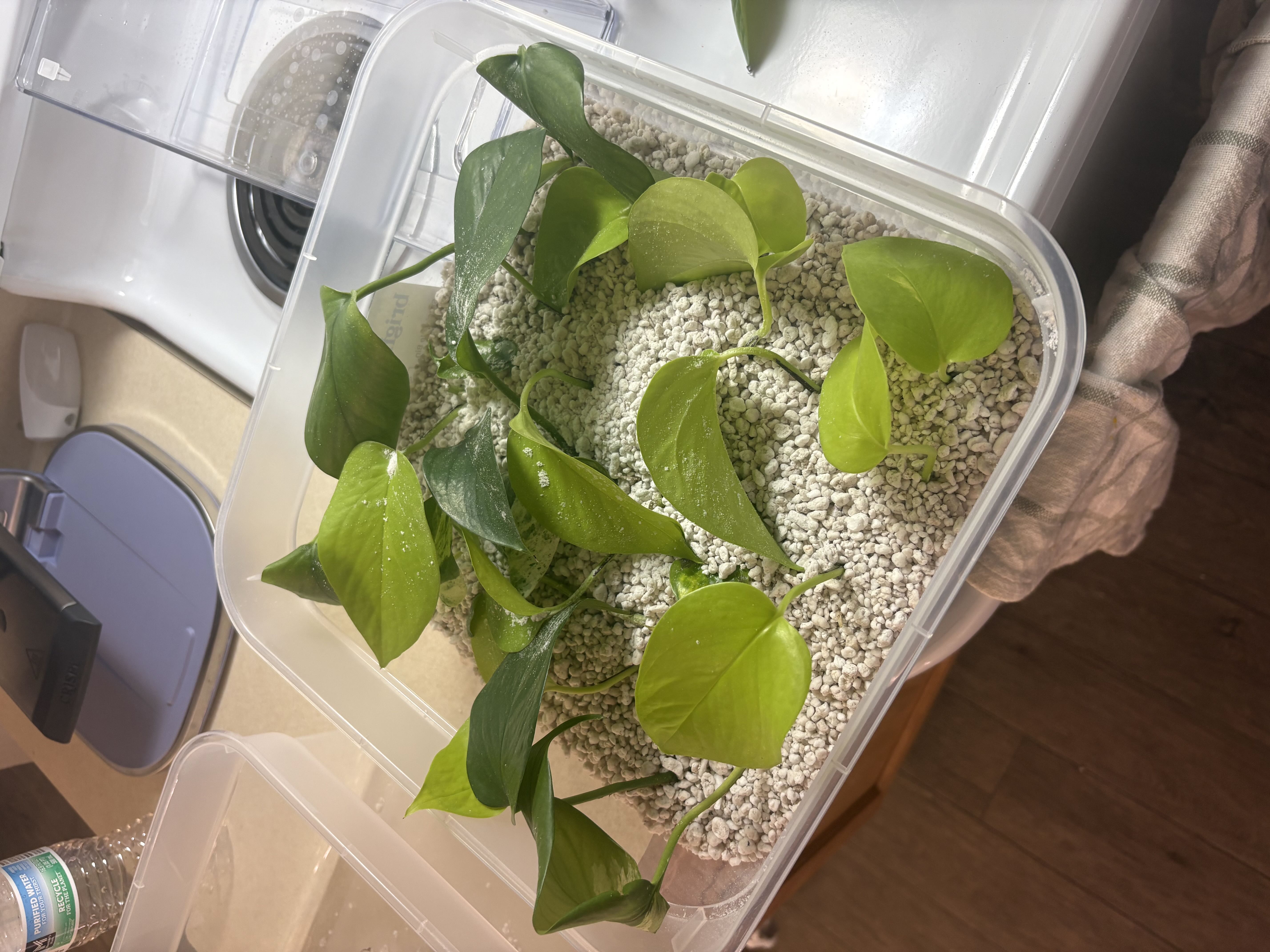 Photo from the post