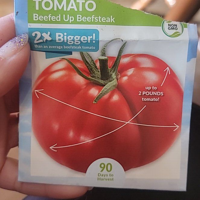 Photo of the plant species Beefsteak Tomato by @DazzlingBulrush named Demi on Greg, the plant care app