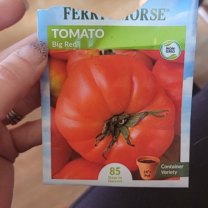 Photo of the plant species Tomatoes by @DazzlingBulrush named Nemo on Greg, the plant care app