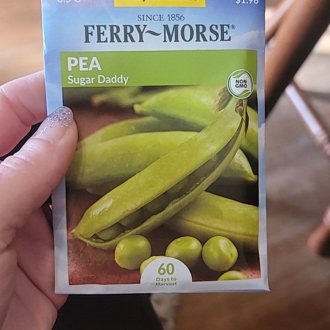 Photo of the plant species Peas by @DazzlingBulrush named Miley on Greg, the plant care app