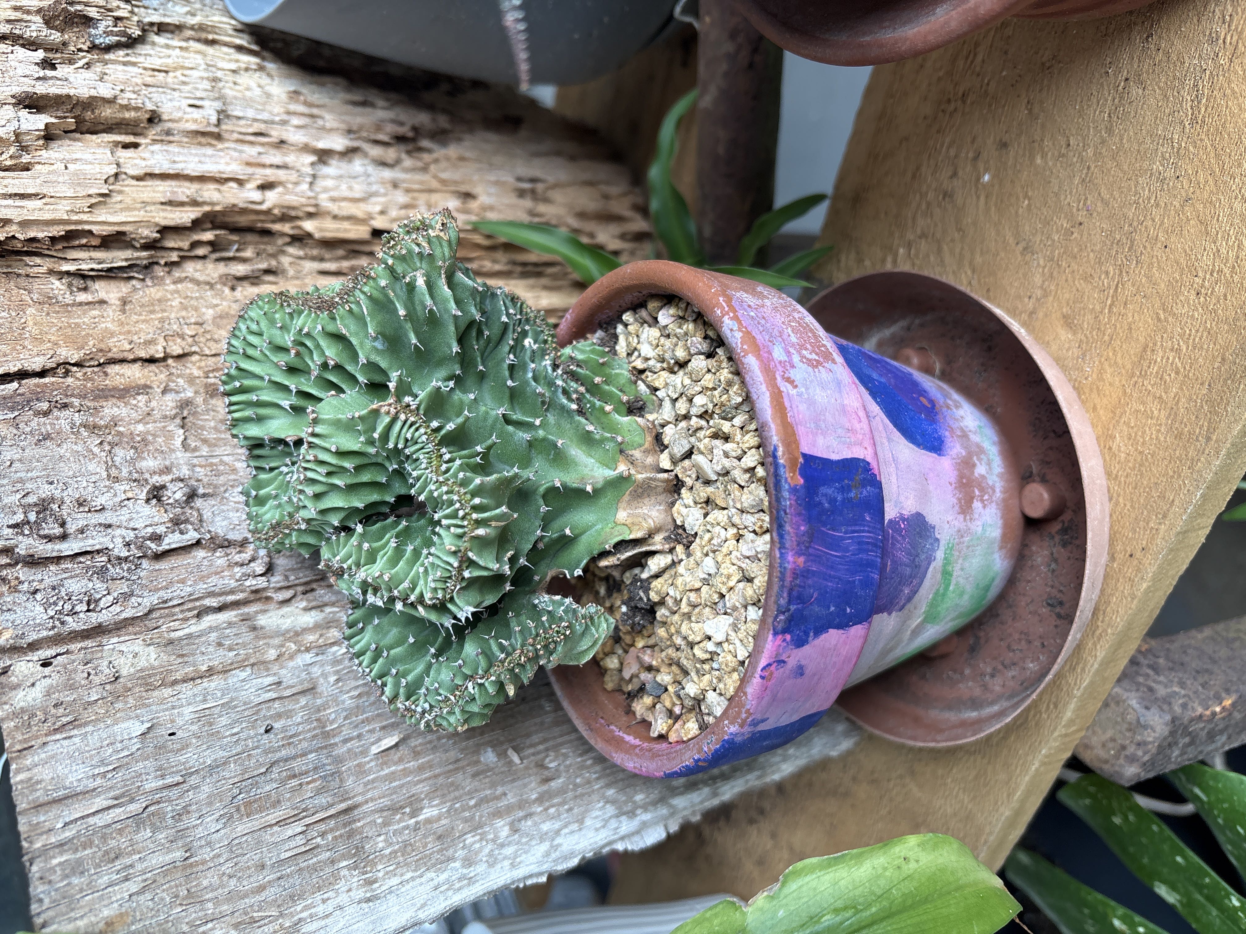 Photo from the post