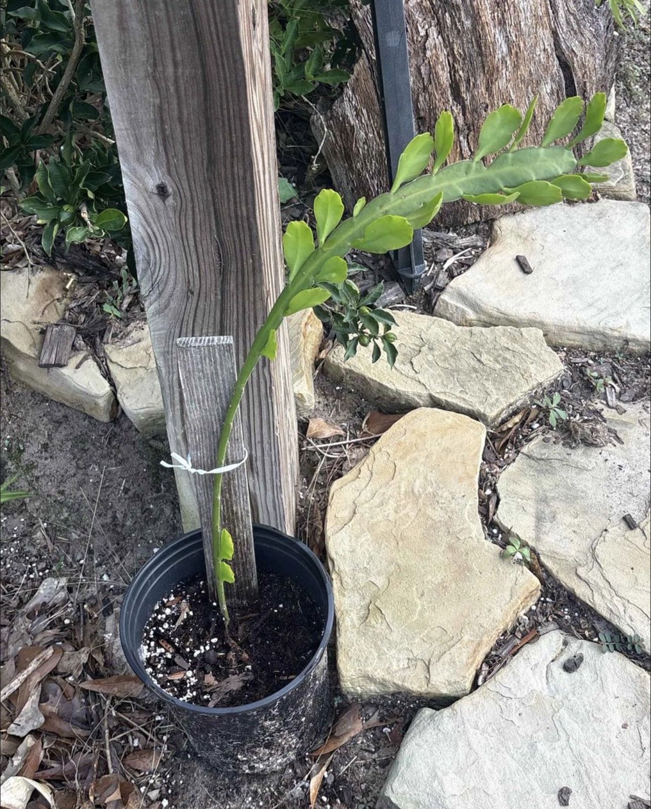 Photo from the post