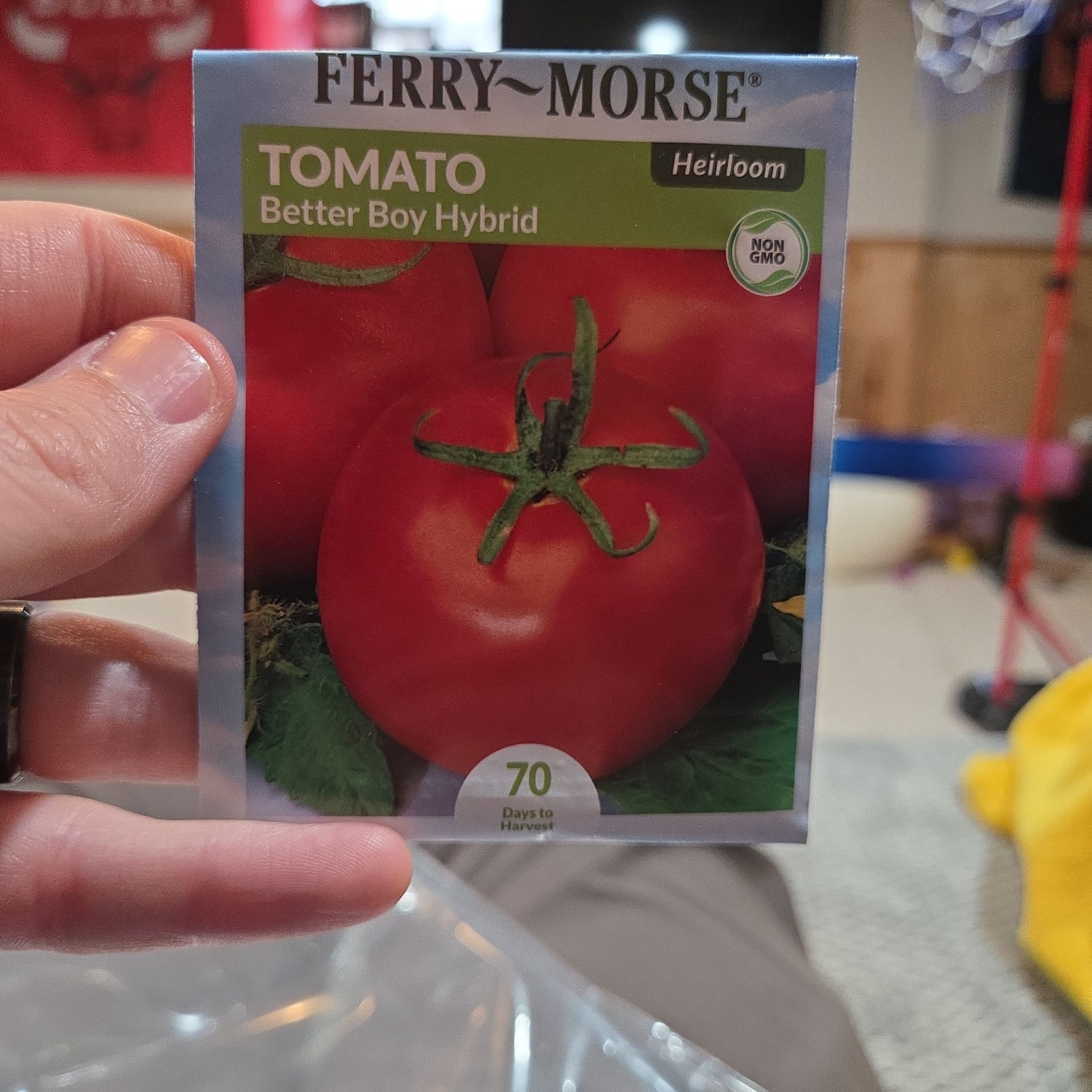 Photo of the plant species Tomato 'Better Boy' by @TrustingCapeivy named Bob on Greg, the plant care app