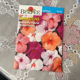 Photo of the plant species Impatiens by @GoodMostii99 named Kylie on Greg, the plant care app