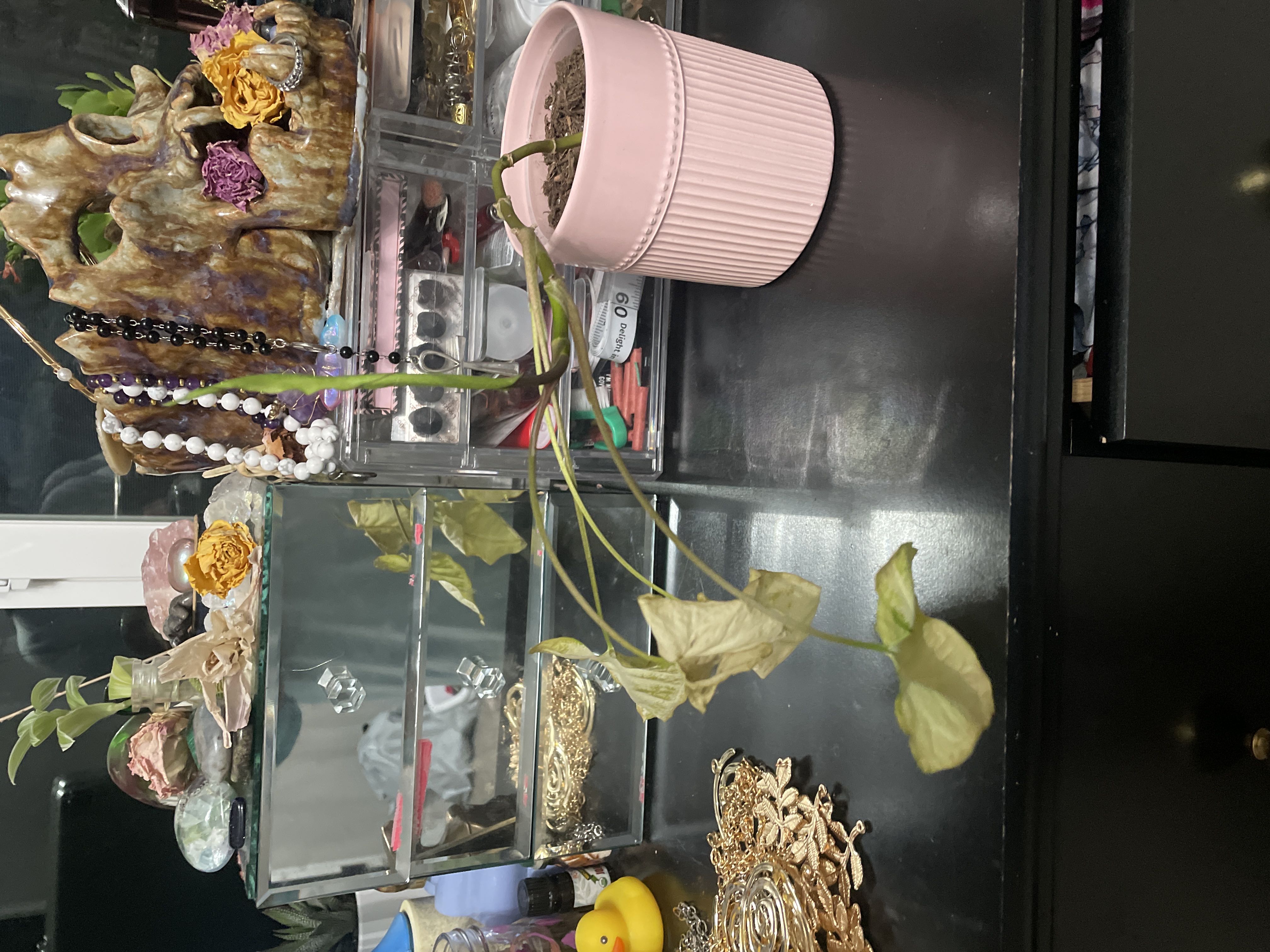 Photo from the post