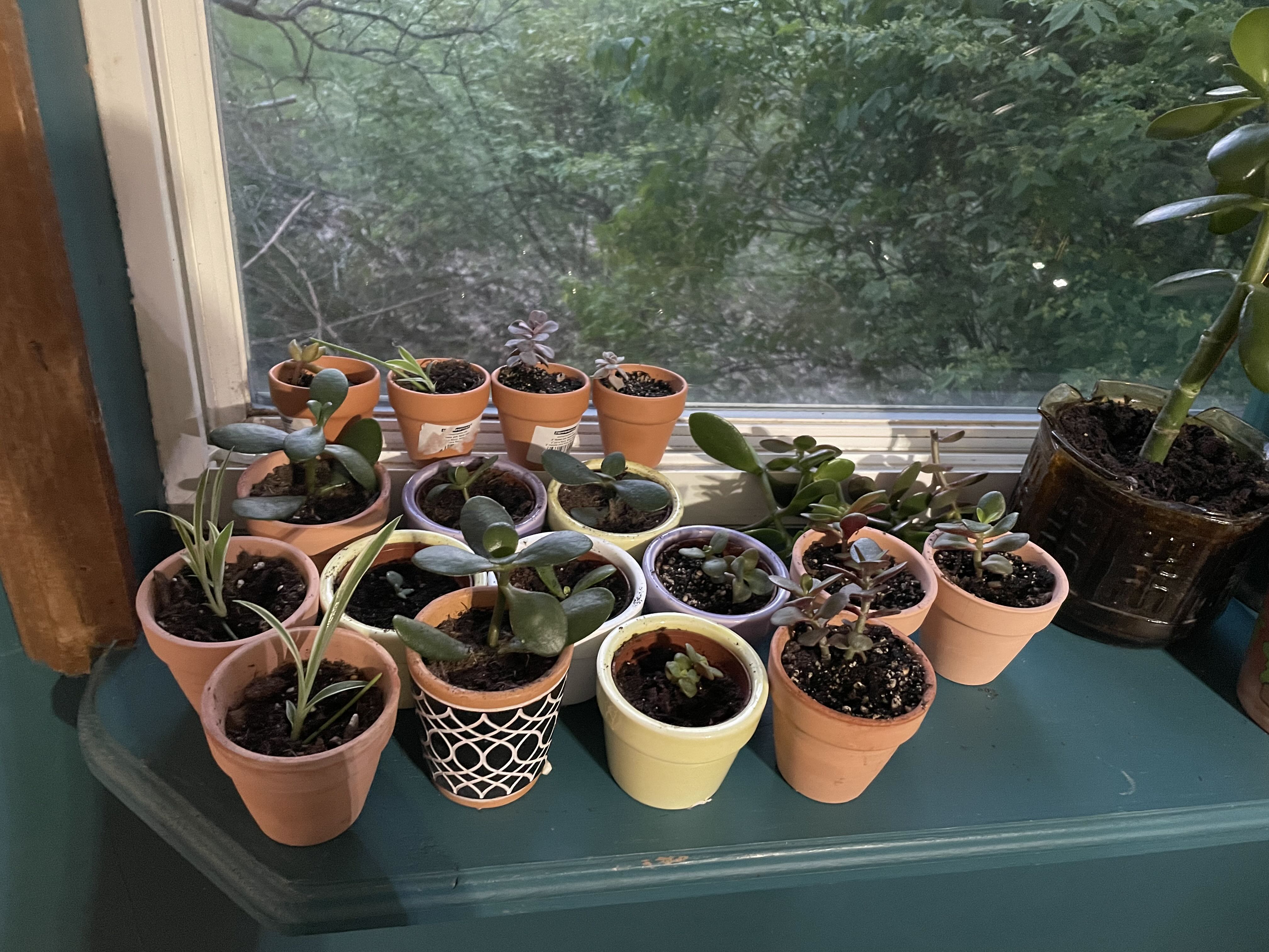Photo from the post