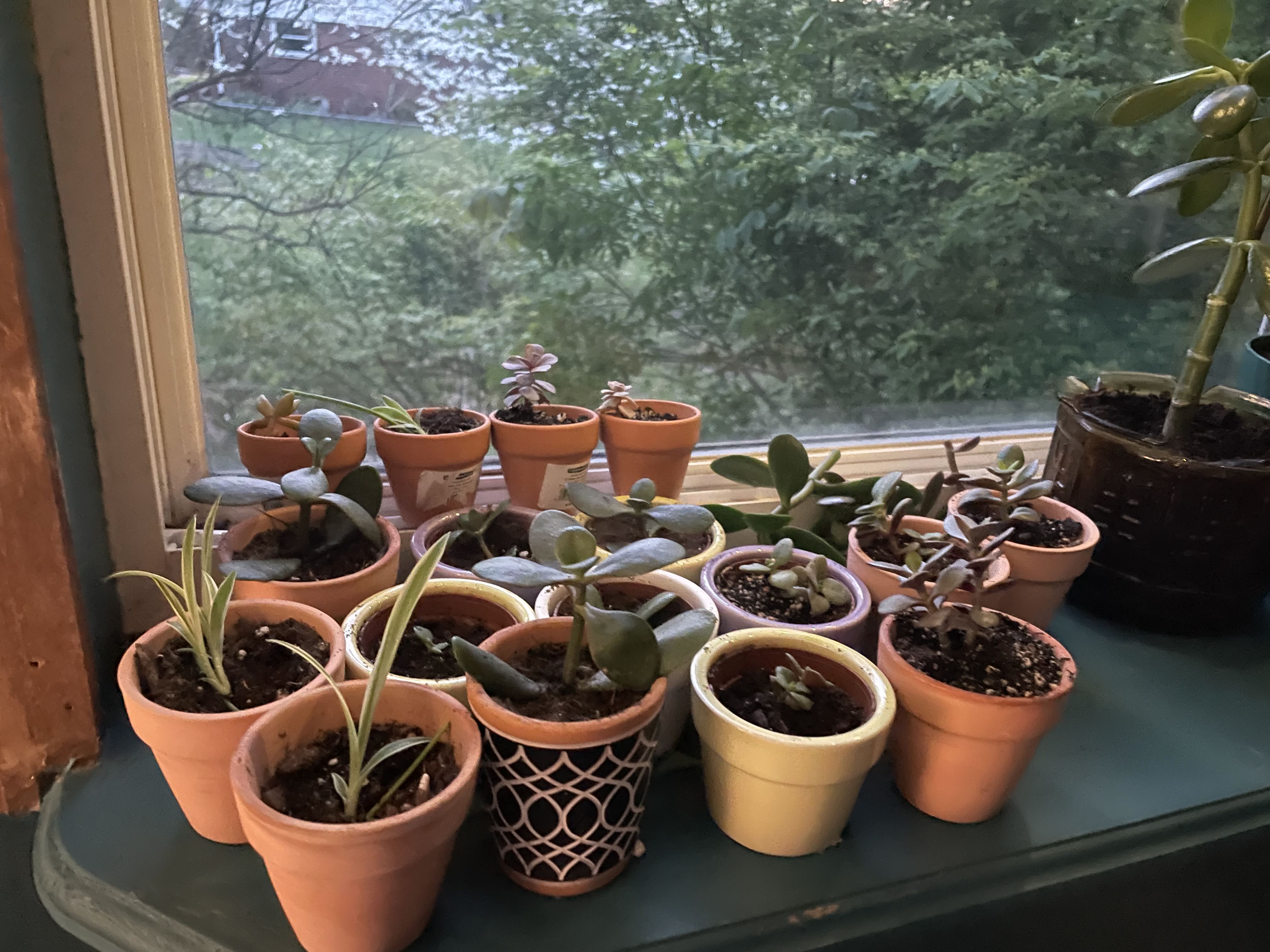 Photo from the post