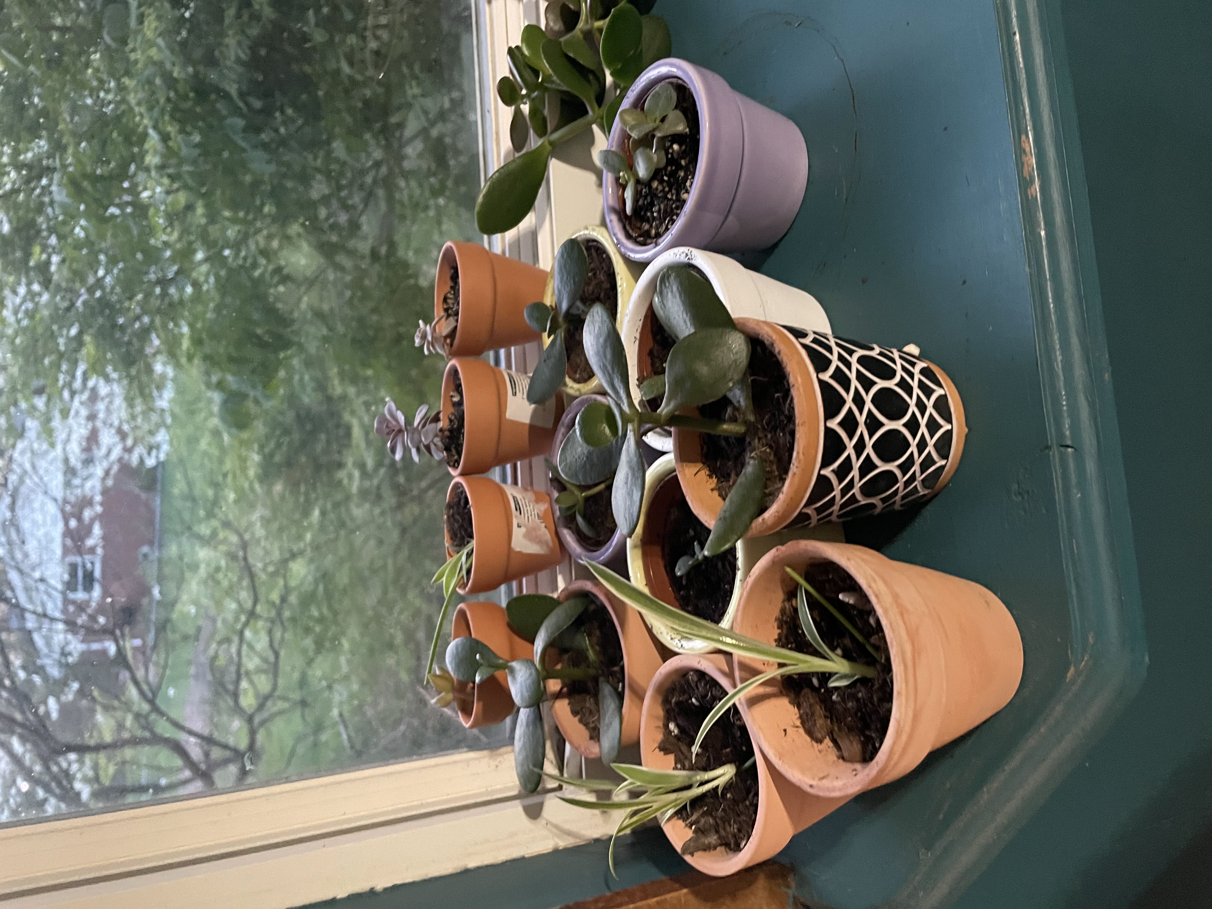 Photo from the post