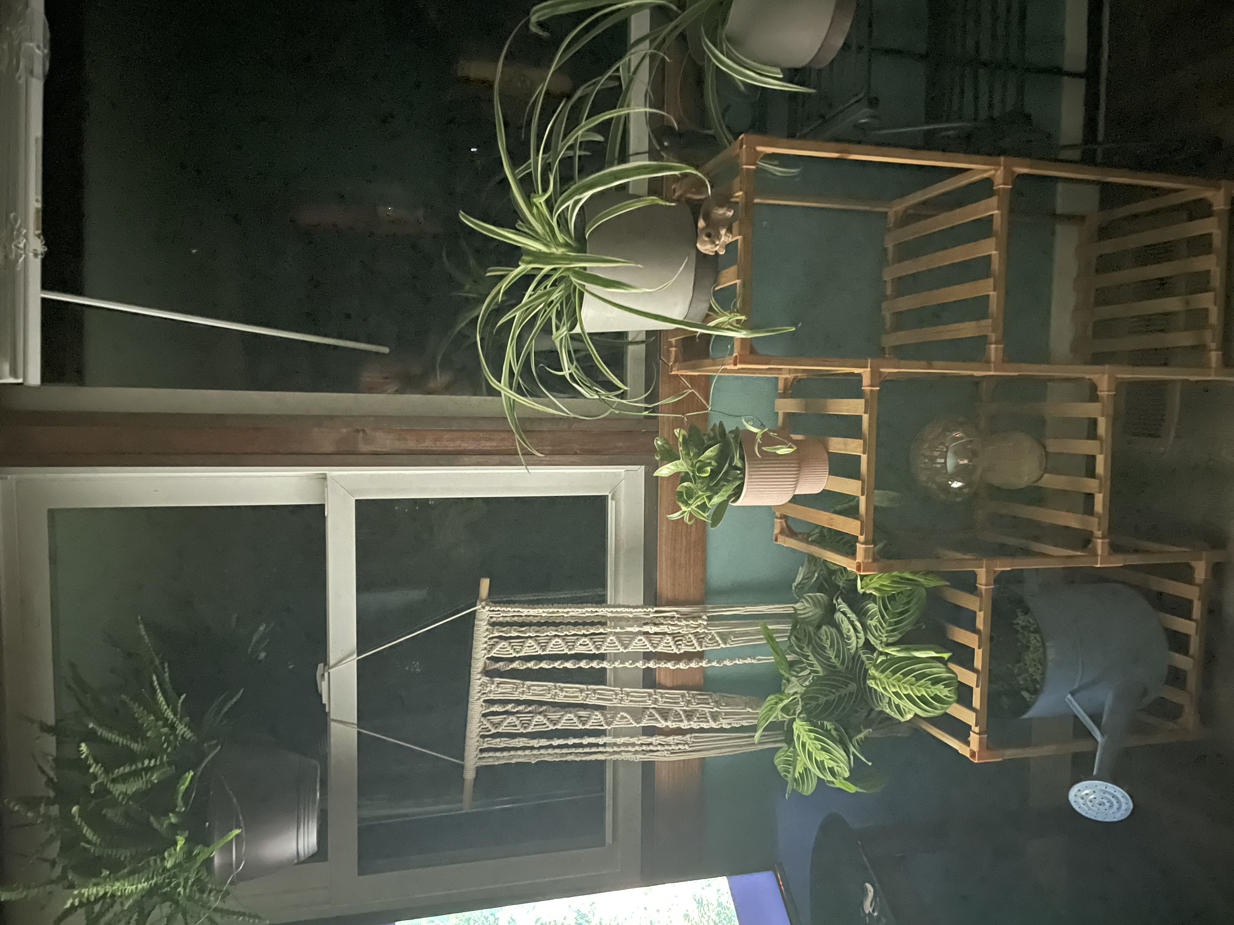 Photo from the post