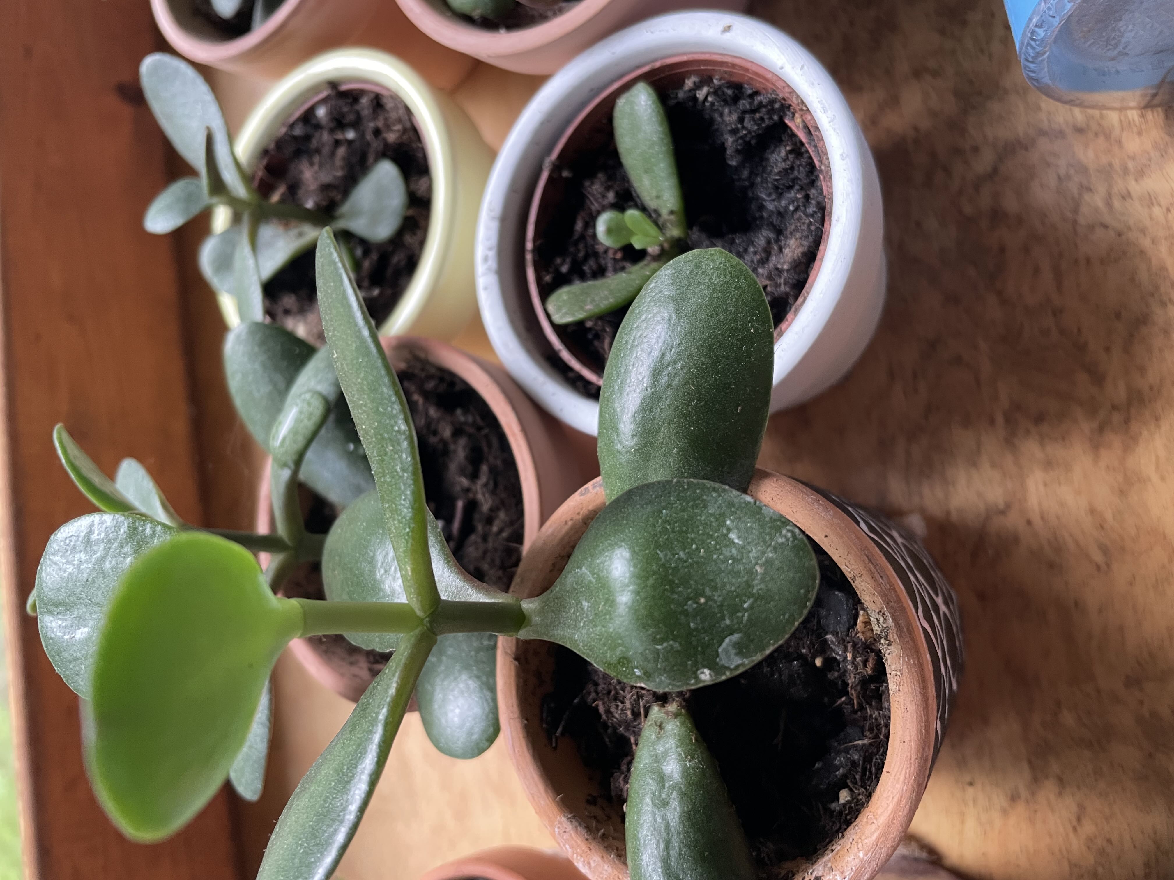 Photo from the post