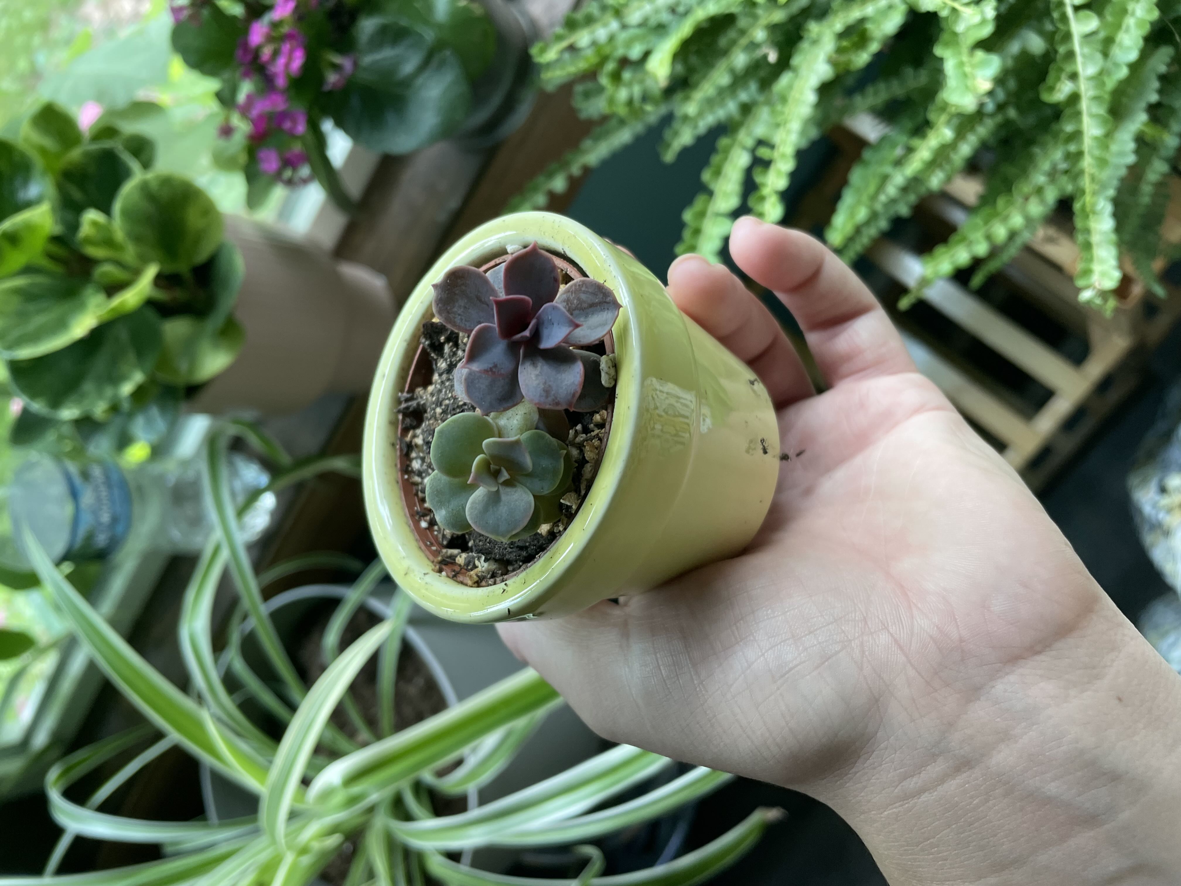 Photo from the post